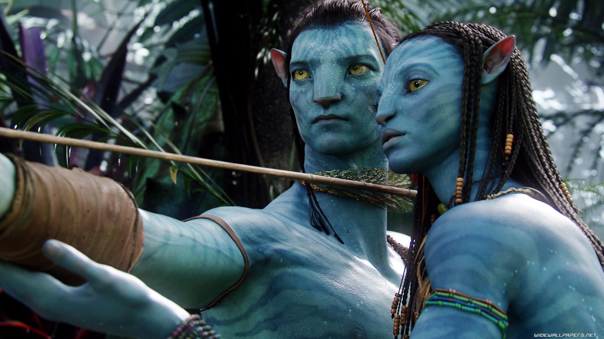 Avatar Movies CGi Render Science Fiction Futuristic Arrow Neytiri Jake Sully Navi Movie Scenes 1920x1080