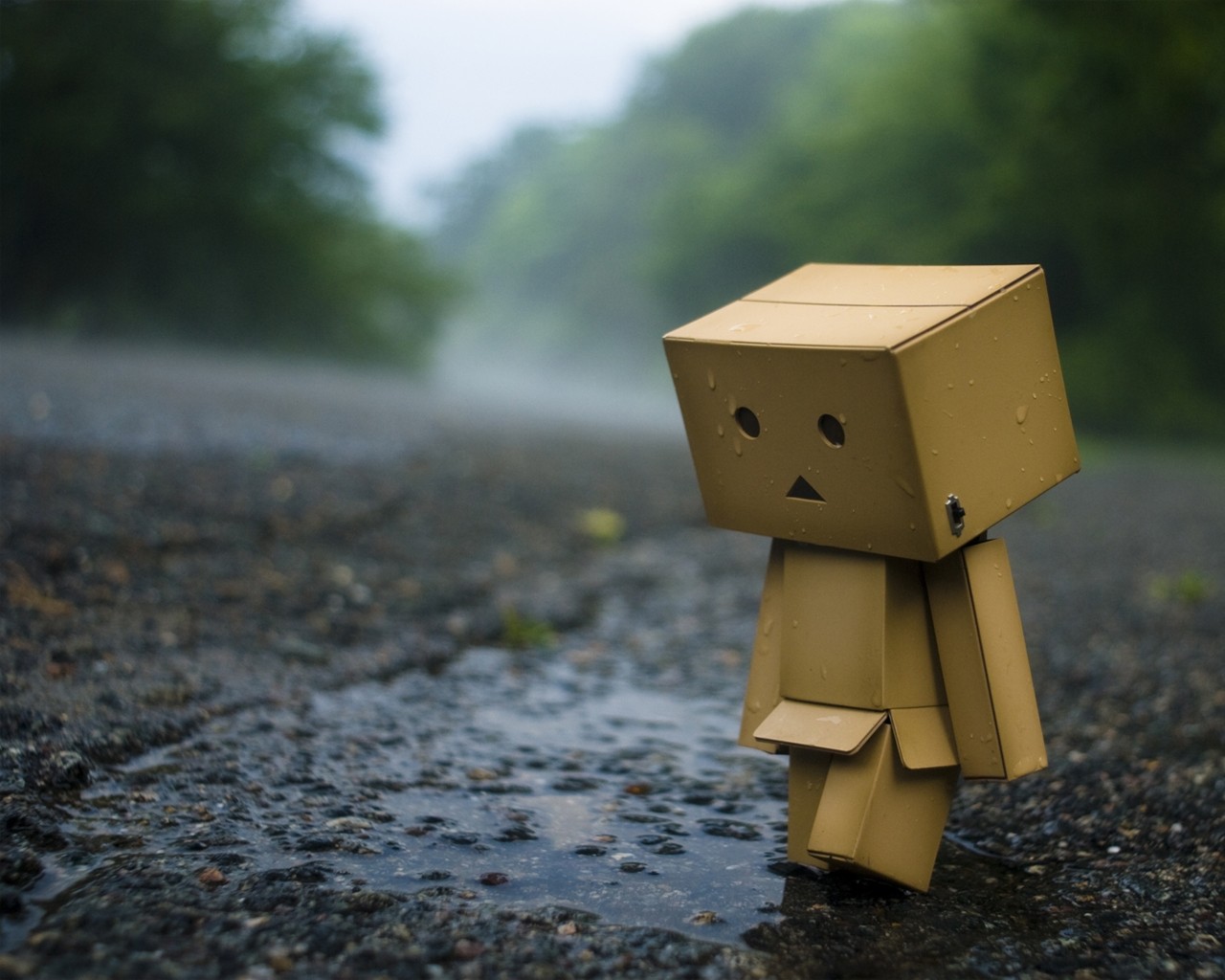 Danbo Carton Box Outdoors 1280x1024