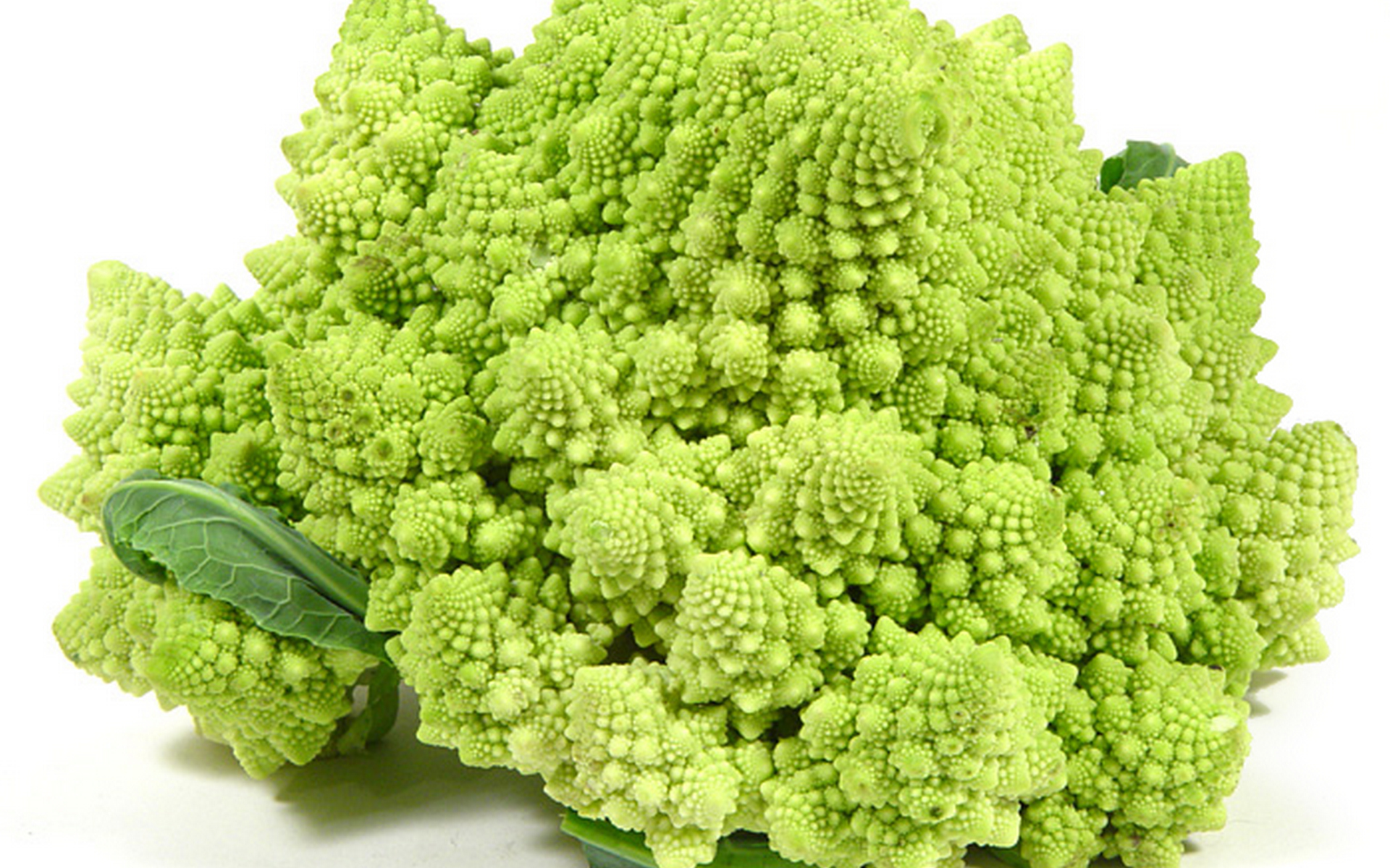 Food Broccoli 1920x1200