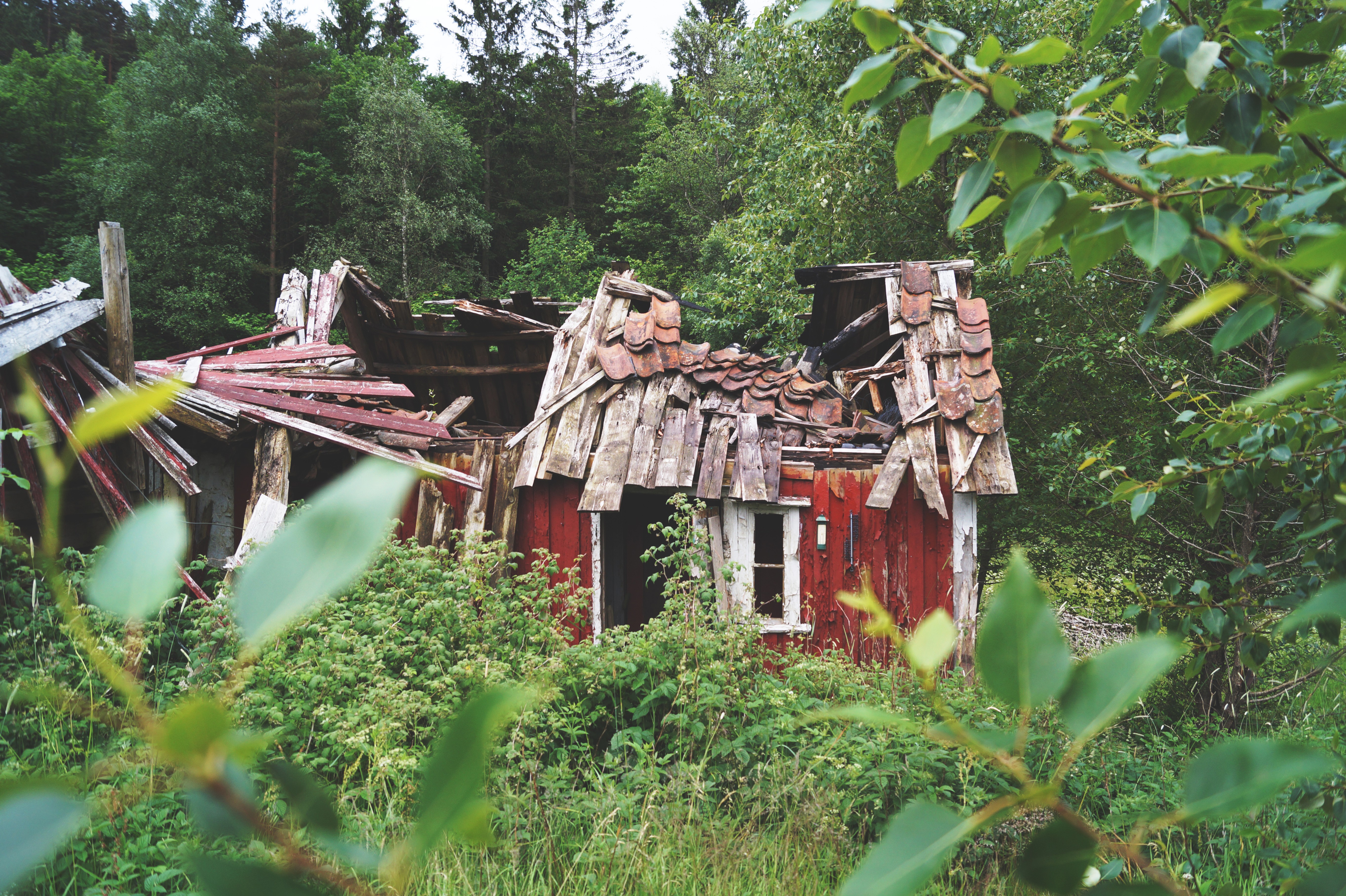 Broken Blurred Decay Wood Hut Ruin 5456x3632