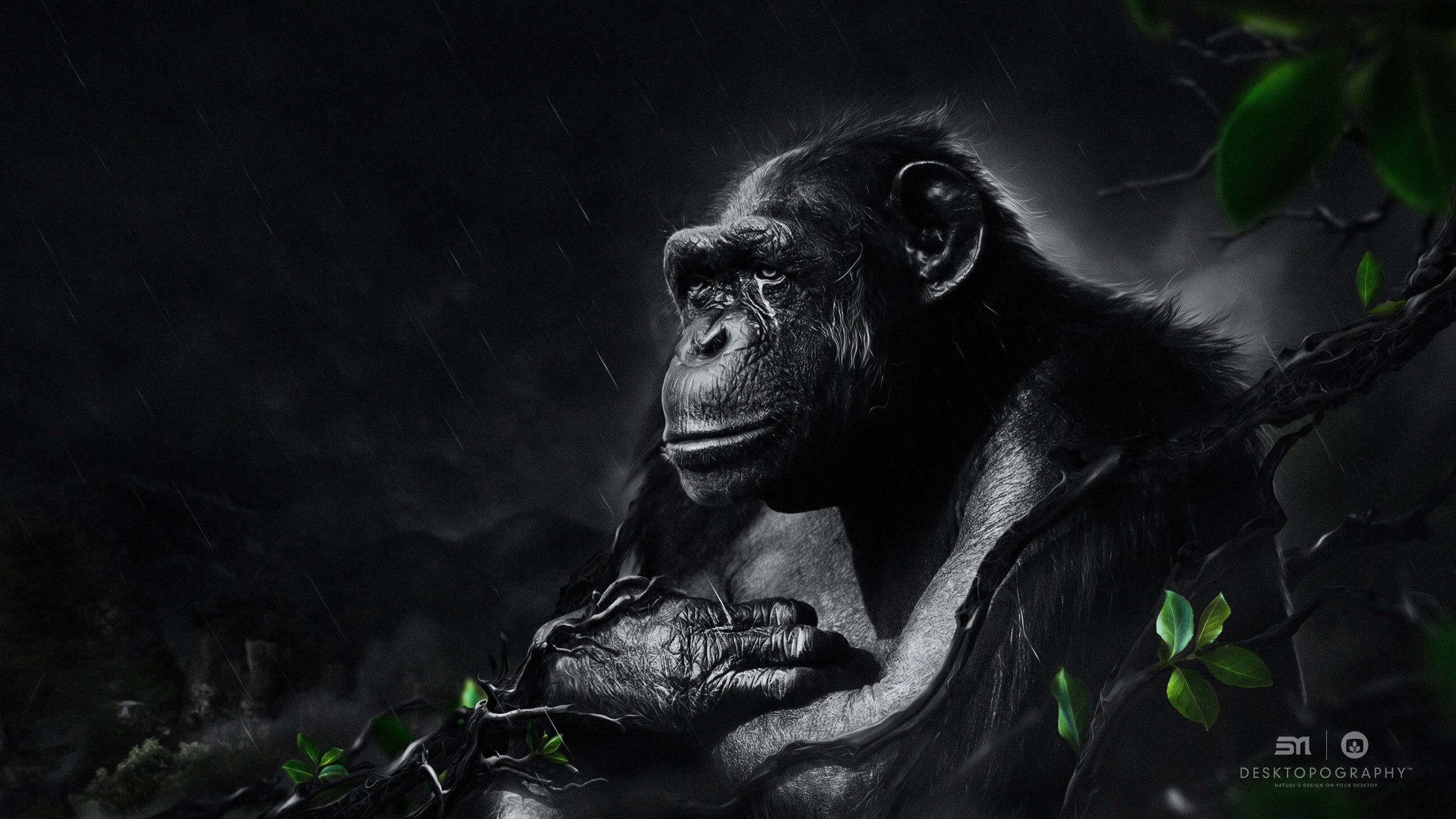 Monkey Fantasy Art Gorillas Desktopography 2560x1440