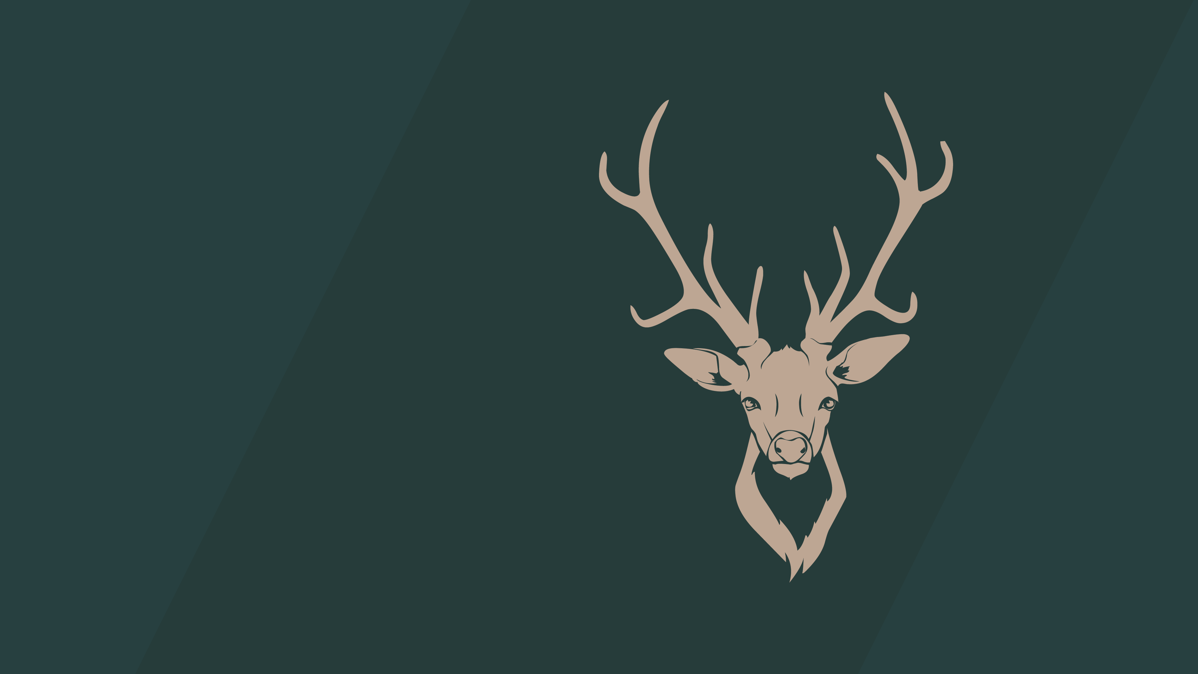 Minimalism Buck Antlers Simple Background 3840x2160