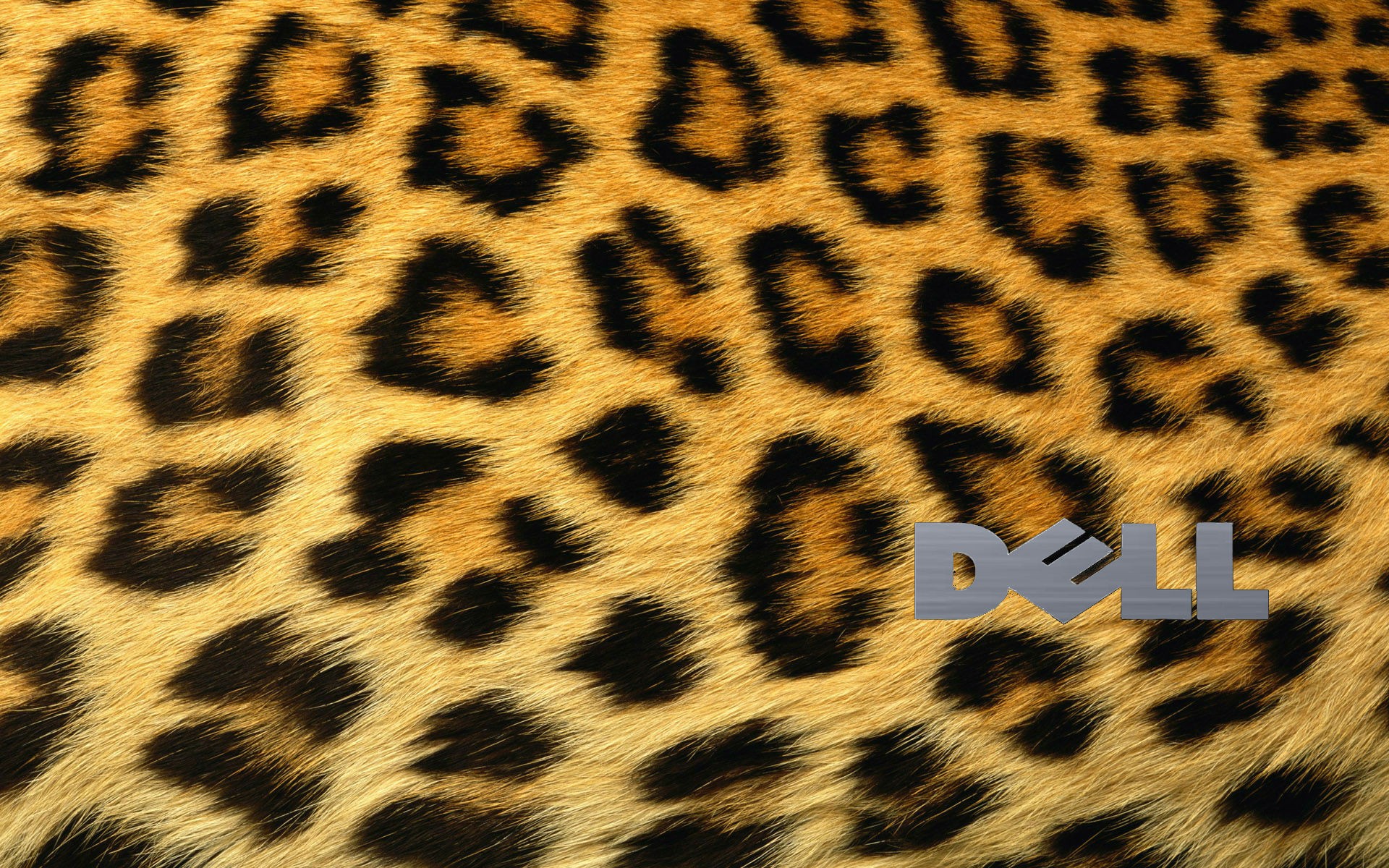 Dell Cheetahs Pattern Logo 1920x1200