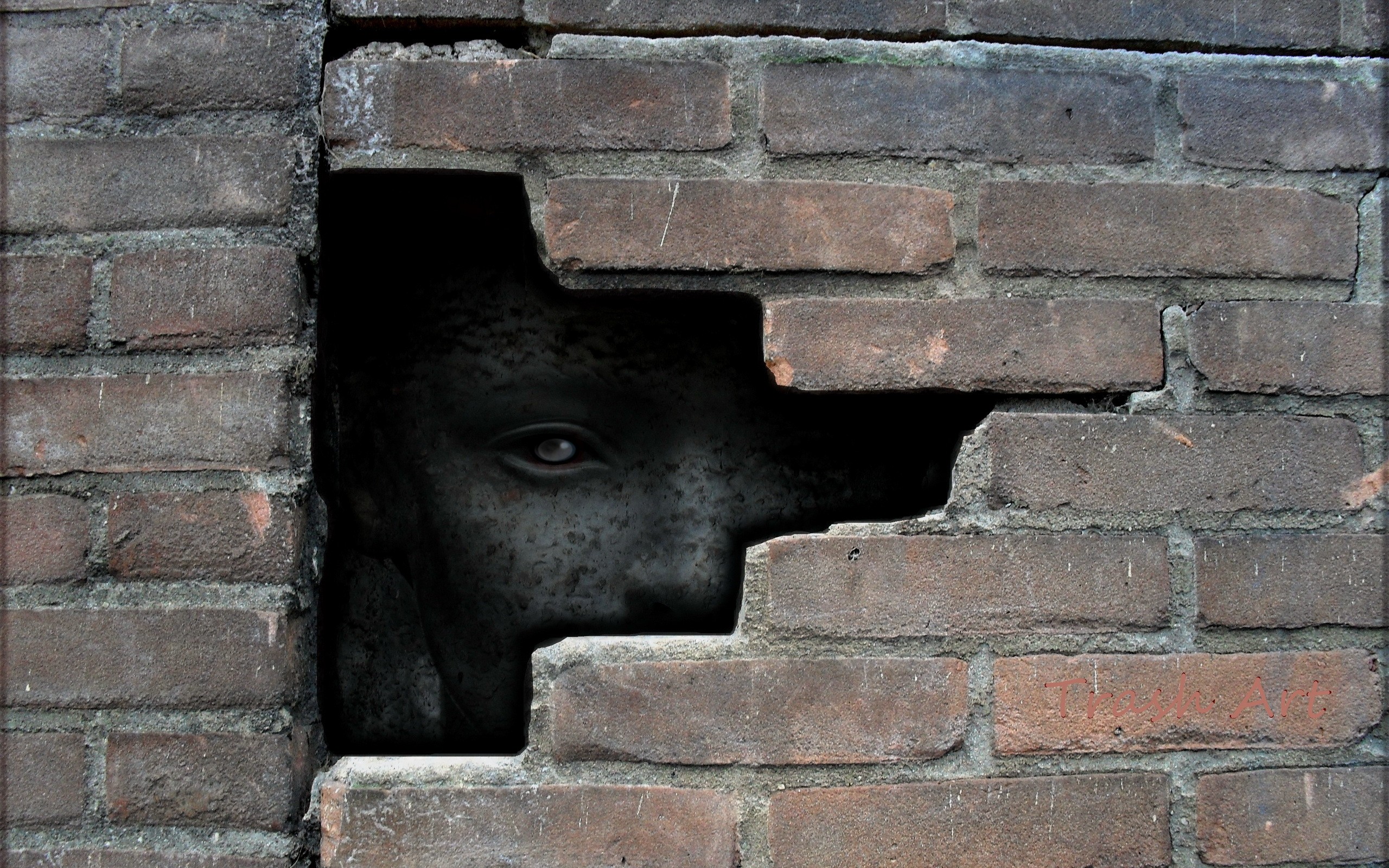 Face Spooky Wall Bricks Creepy Hiding 2560x1600