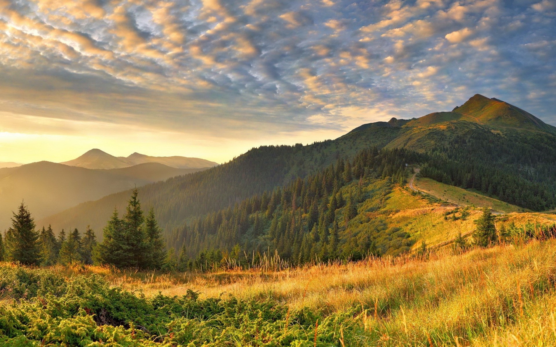 Landscape Mountains Summer Dry Grass Warm Colors Sunset 1920x1200