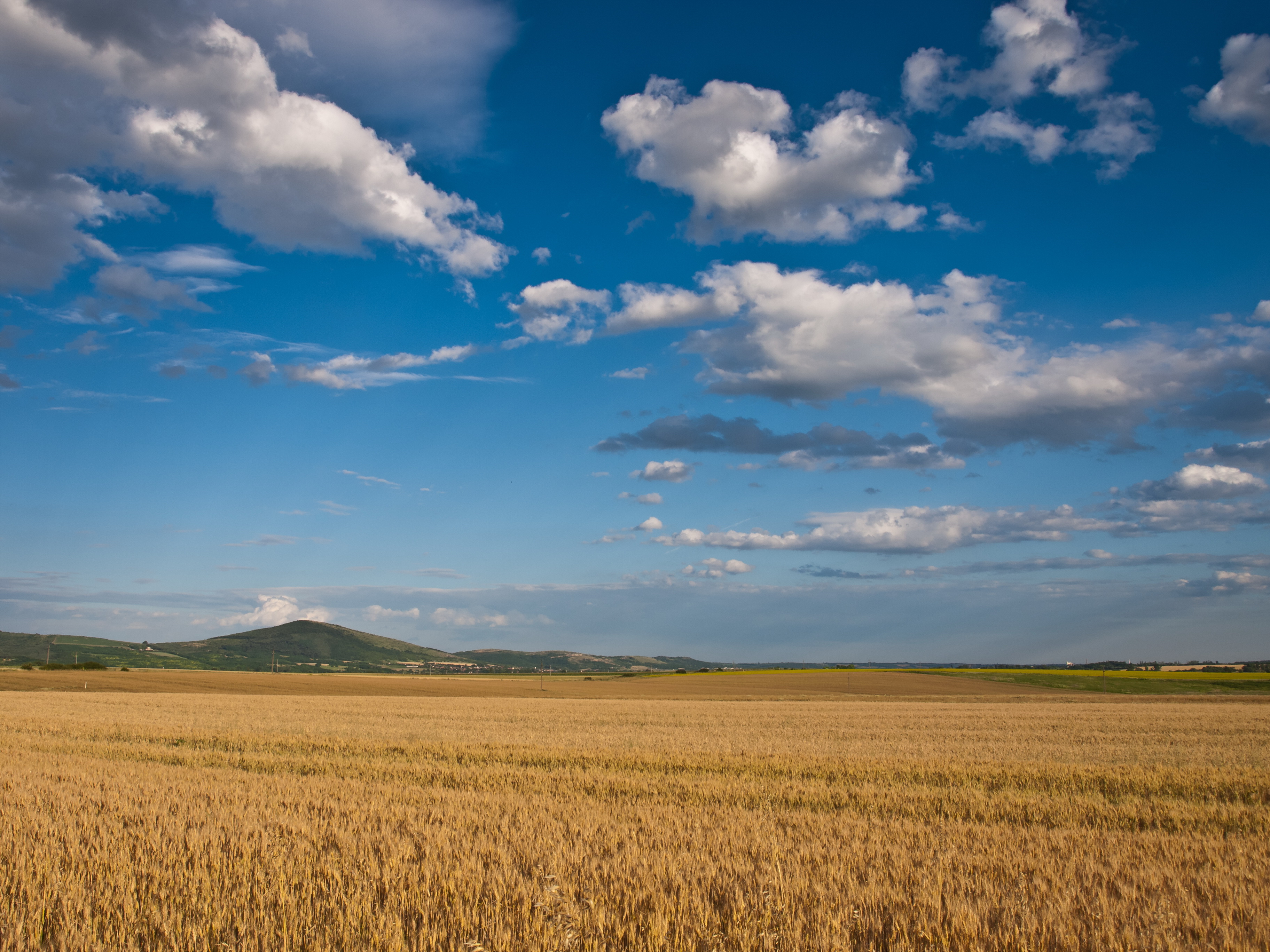 Earth Cornfield 3648x2736