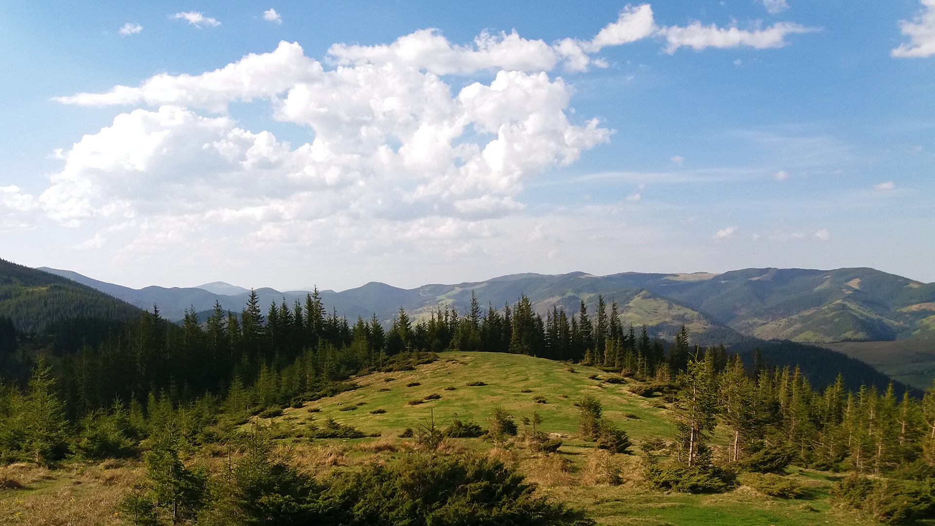 Nature Mountains Forest Field Far View Sky Landscape Clouds Carpathians Ukraine 1920x1080