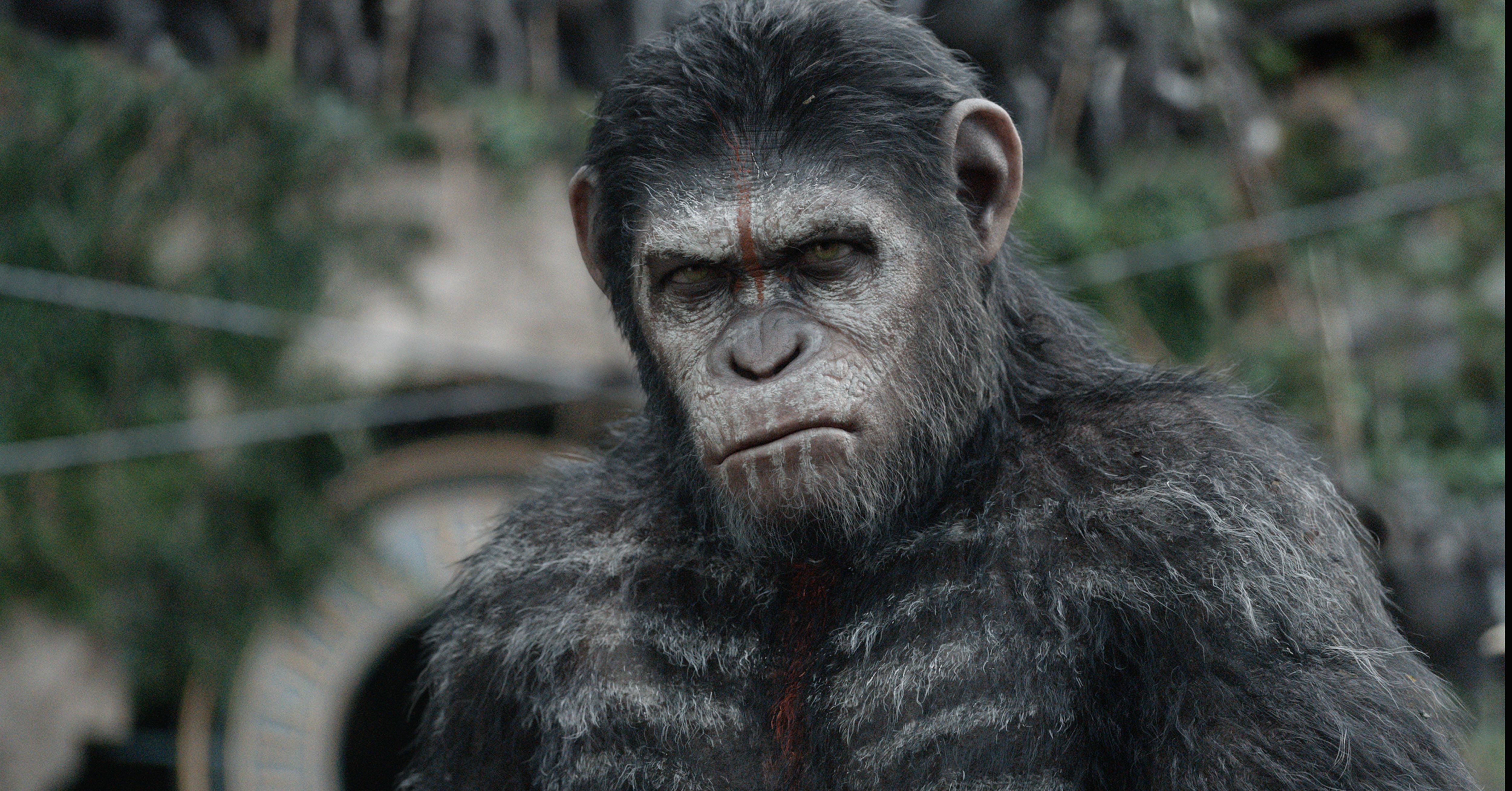 Movie Dawn Of The Planet Of The Apes 5000x2616