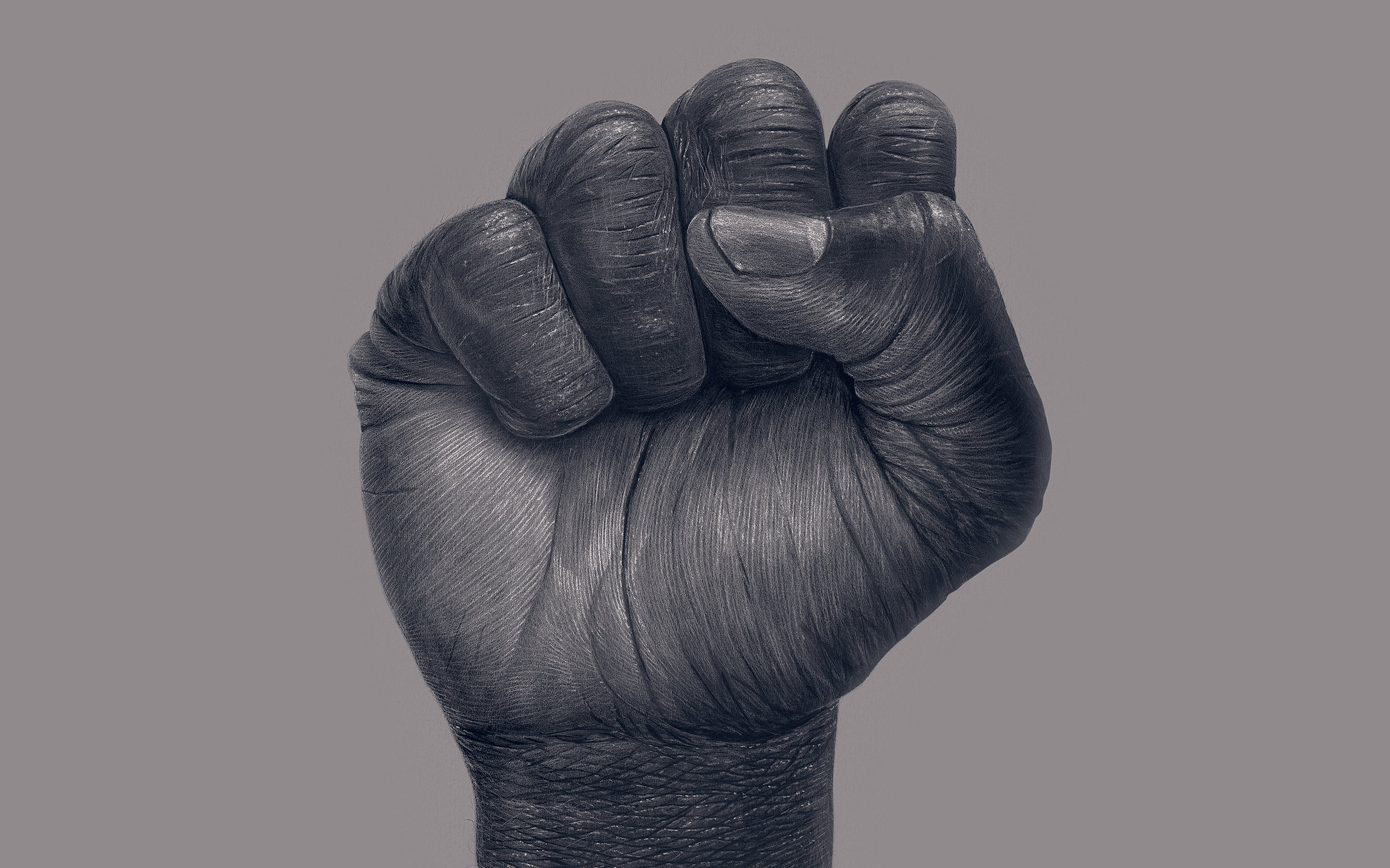 Illustration Digital Black Fist Fists Revolution 3840x2400