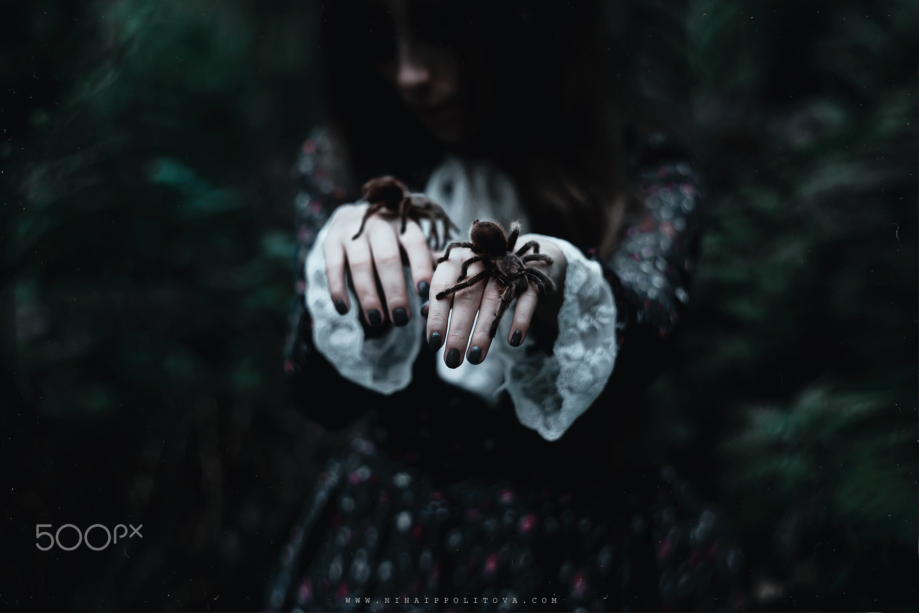 Shiro Igarashi Fantasy Girl Dark Spooky Women Hands Spider 500px