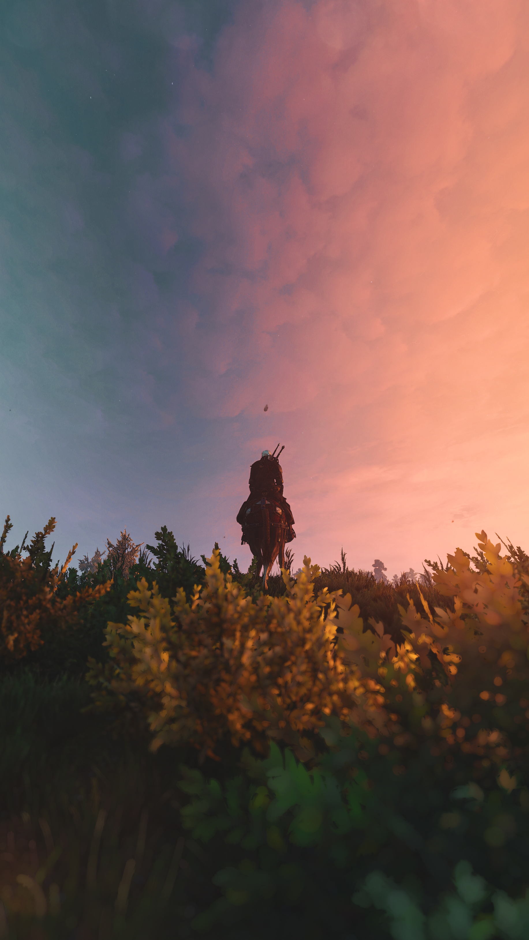 The Witcher 3 Wild Hunt PC Gaming Geralt Of Rivia Screen Shot Roach Video Games 1833x3258