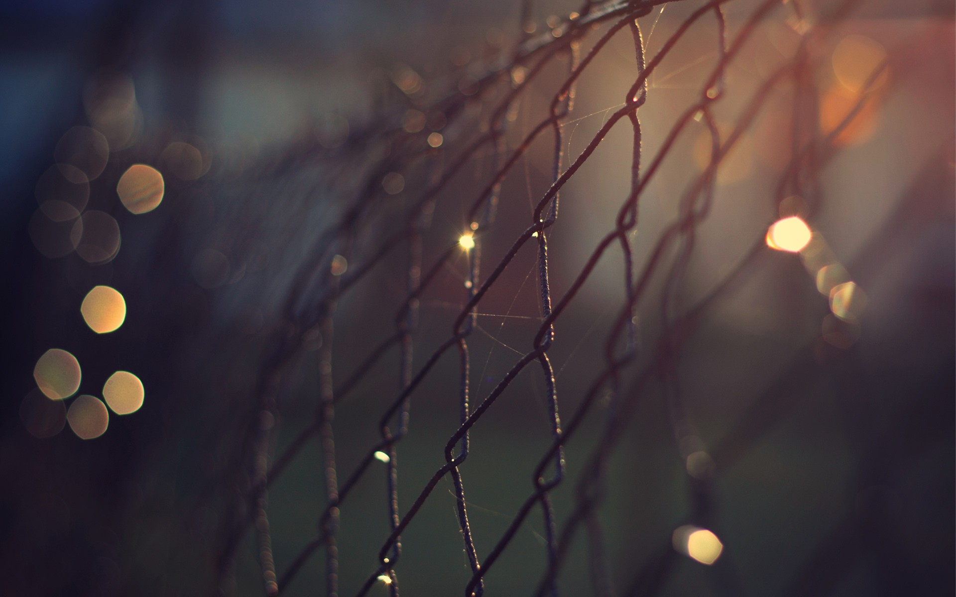 Bokeh Chain Link Fence Depth Of Field Photography Nature Macro Brown 1920x1200