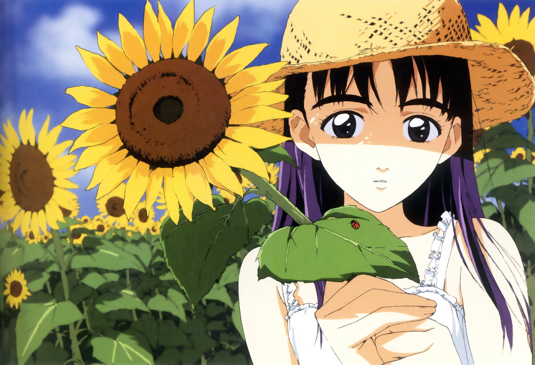 Anime FLCL Sunflowers Ladybugs Anime Girls Flowers Purple Hair 1800x1228