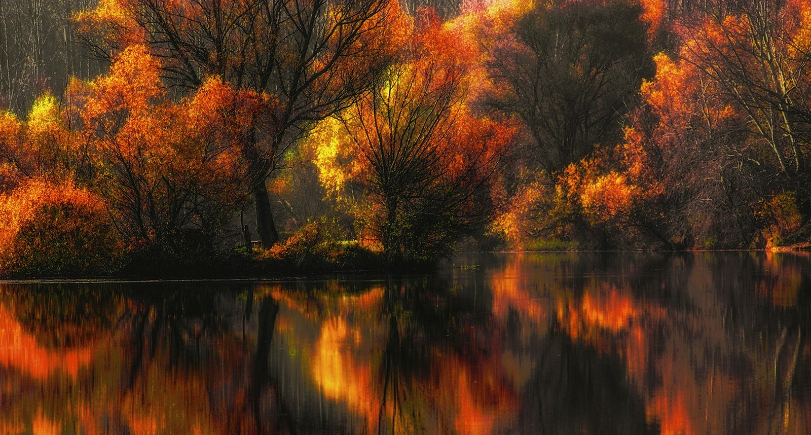 Nature Landscape Fall Colorful Lake Water Reflection Forest Amber Yellow Leaves Trees 1600x858