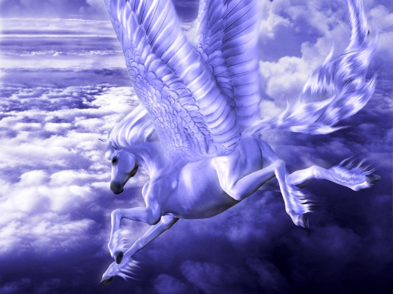 Fantasy Pegasus 1293x969