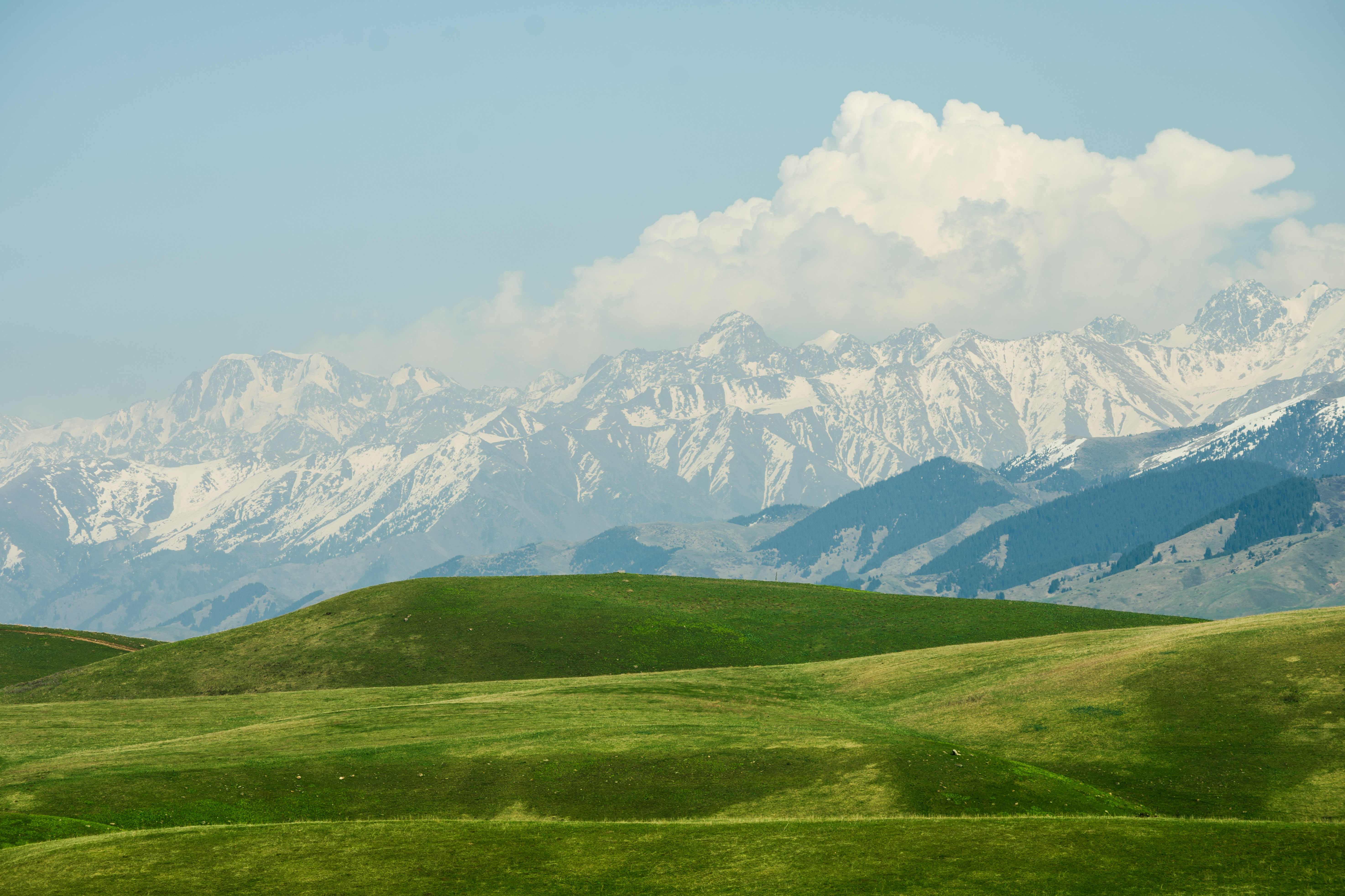 Kazakhstan Mountains Grass Snow Field Plains Green Nature Landscape 5895x3930