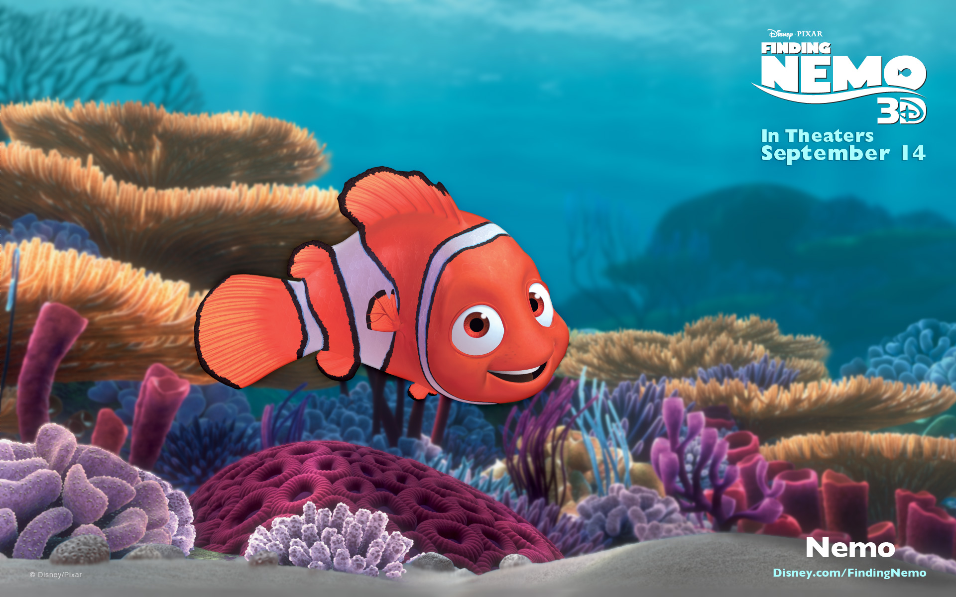 Fish Clownfish Finding Nemo Nemo Finding Nemo 1920x1200