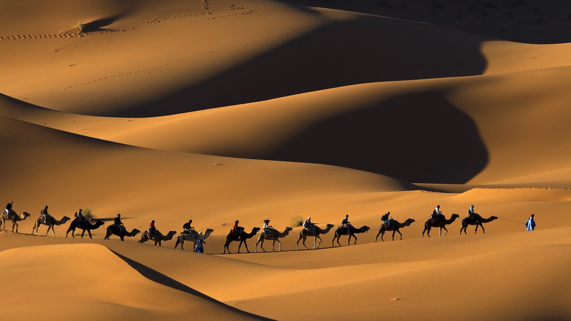 Nature Animals Landscape Camels Morocco Africa Sand Desert Dunes People Shadow Footprints 1920x1080