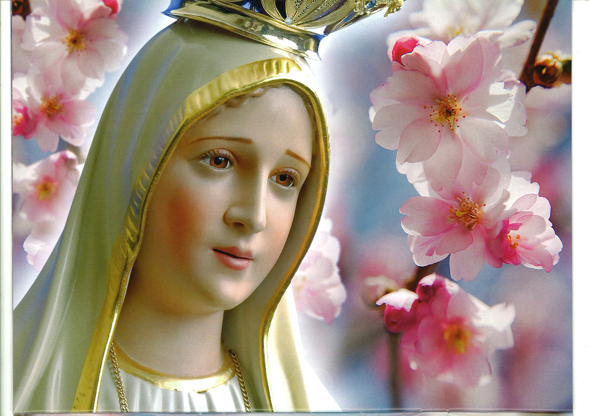 Mary Mother Of Jesus Our Lady Of Fatima 2335x1648