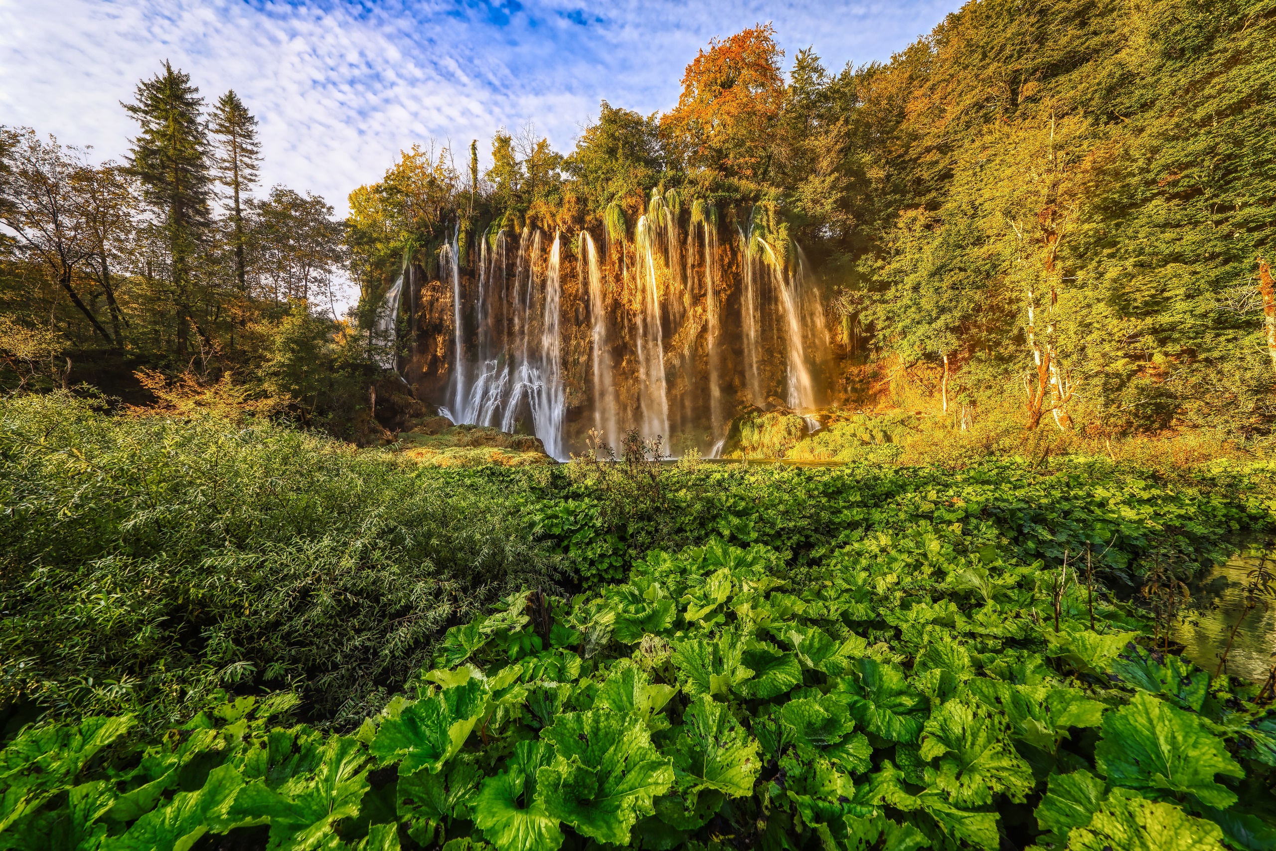 Nature Plants Water Waterfall Croatian 2560x1707