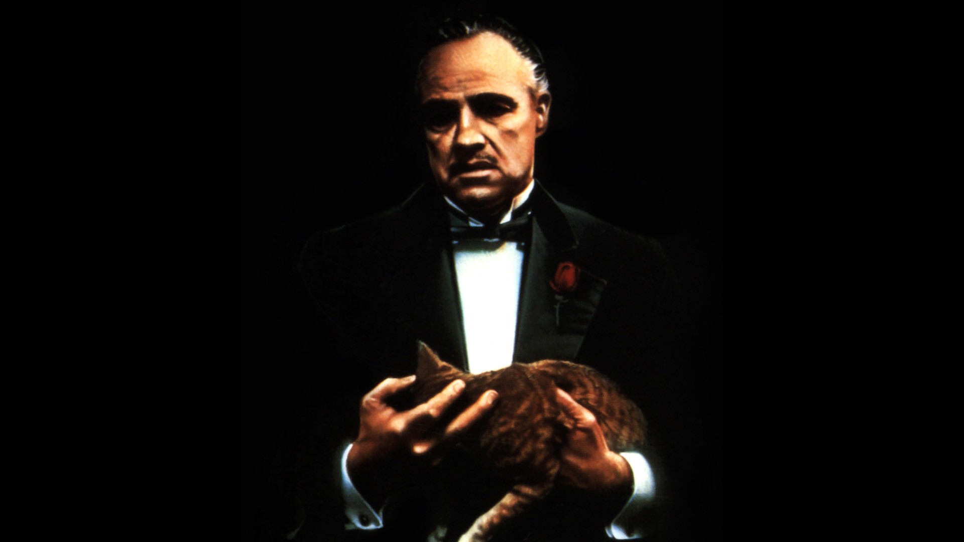 The Godfather Cats Marlon Brando Vito Corleone 1920x1080