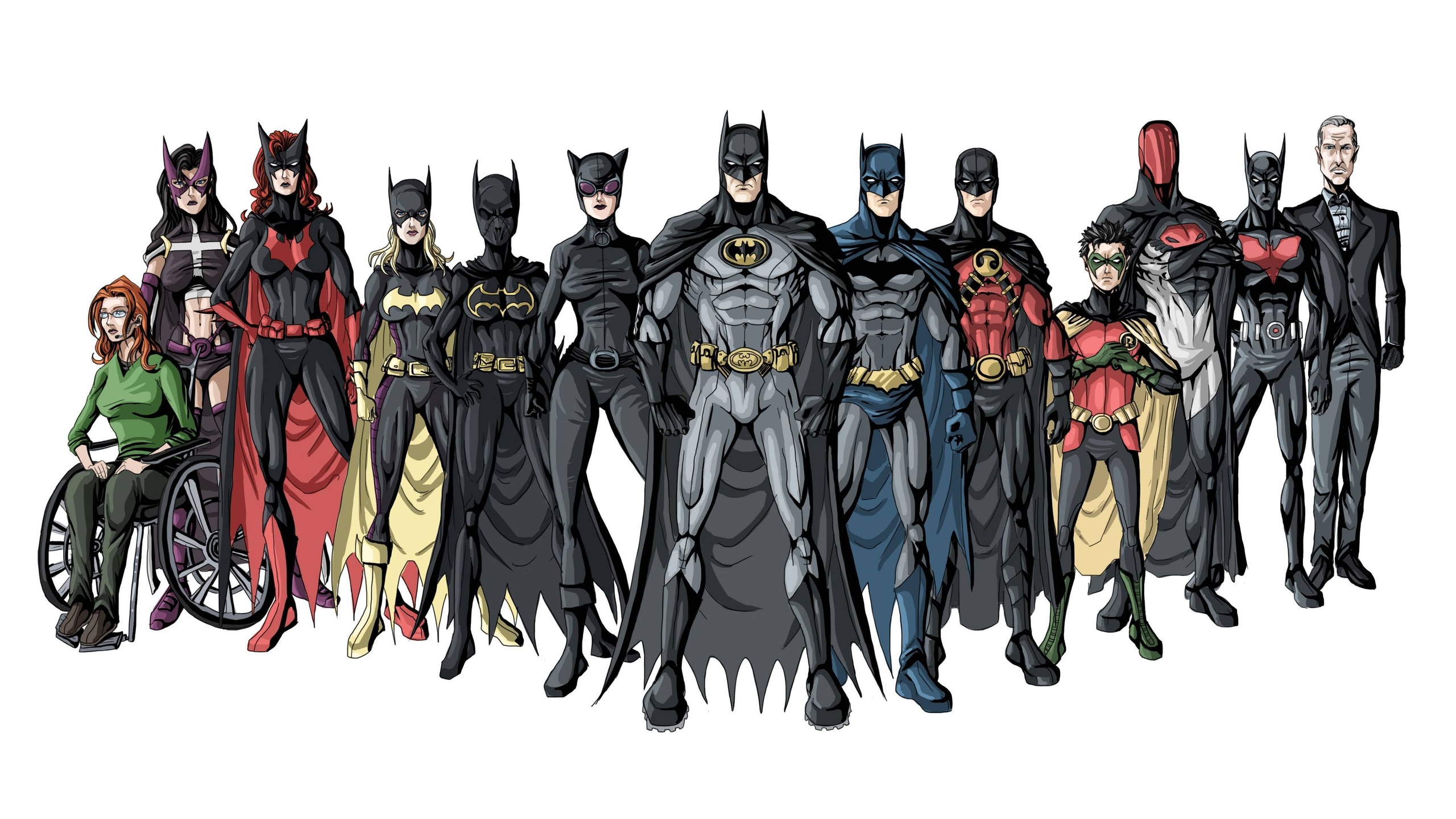 Batman Batwoman Catwoman Robin Character Alfred Superhero Oracle Batman Beyond 2560x1440