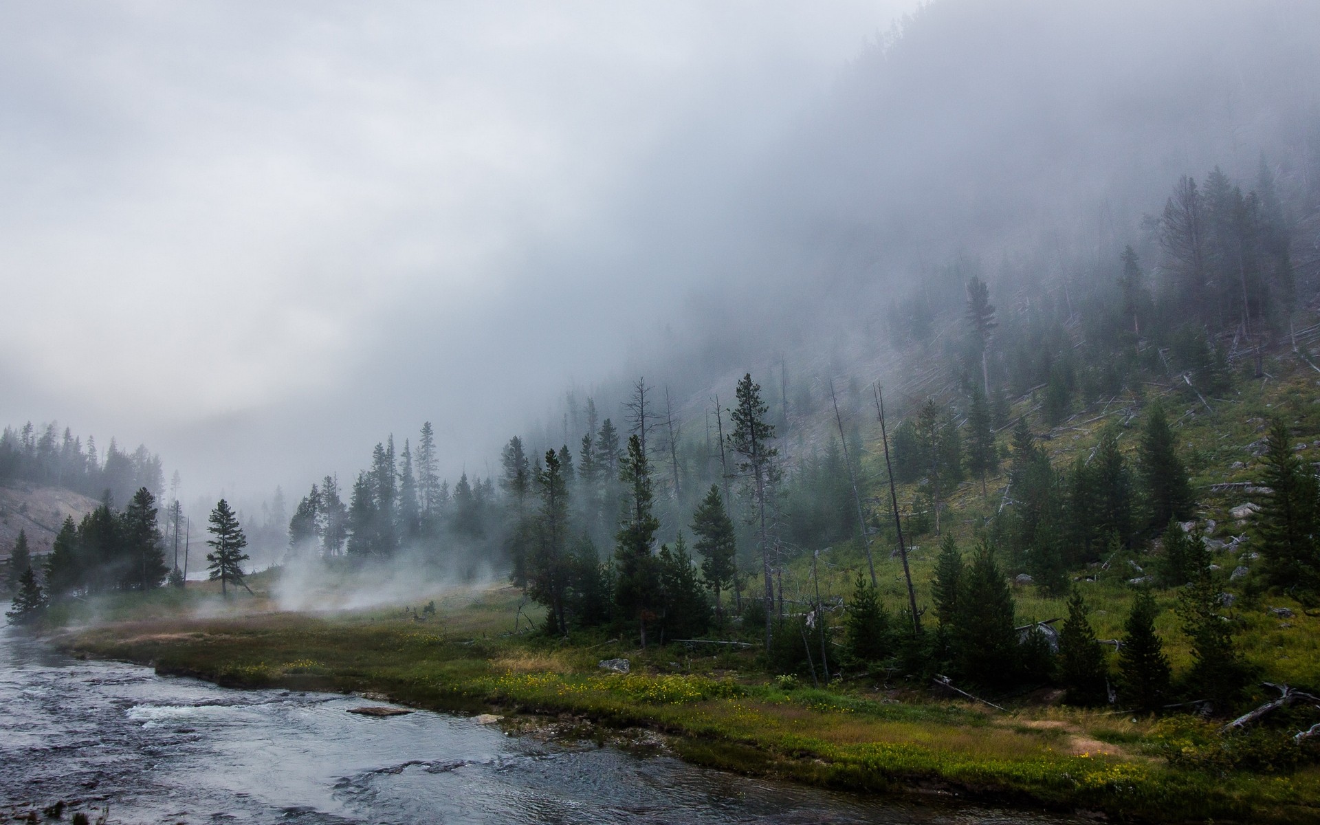 Landscape Nature Yellowstone National Park Forest River Mist Mountains Trees Grass 1920x1200