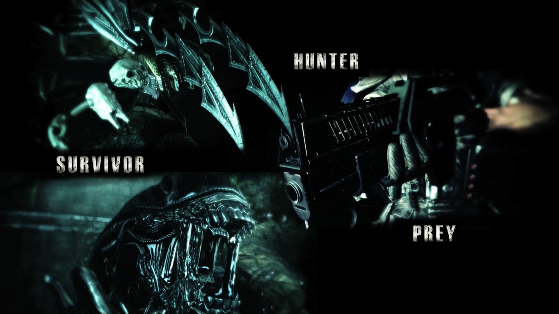 Predator Movie Movies Alien Movie Alien Vs Predator 1920x1080