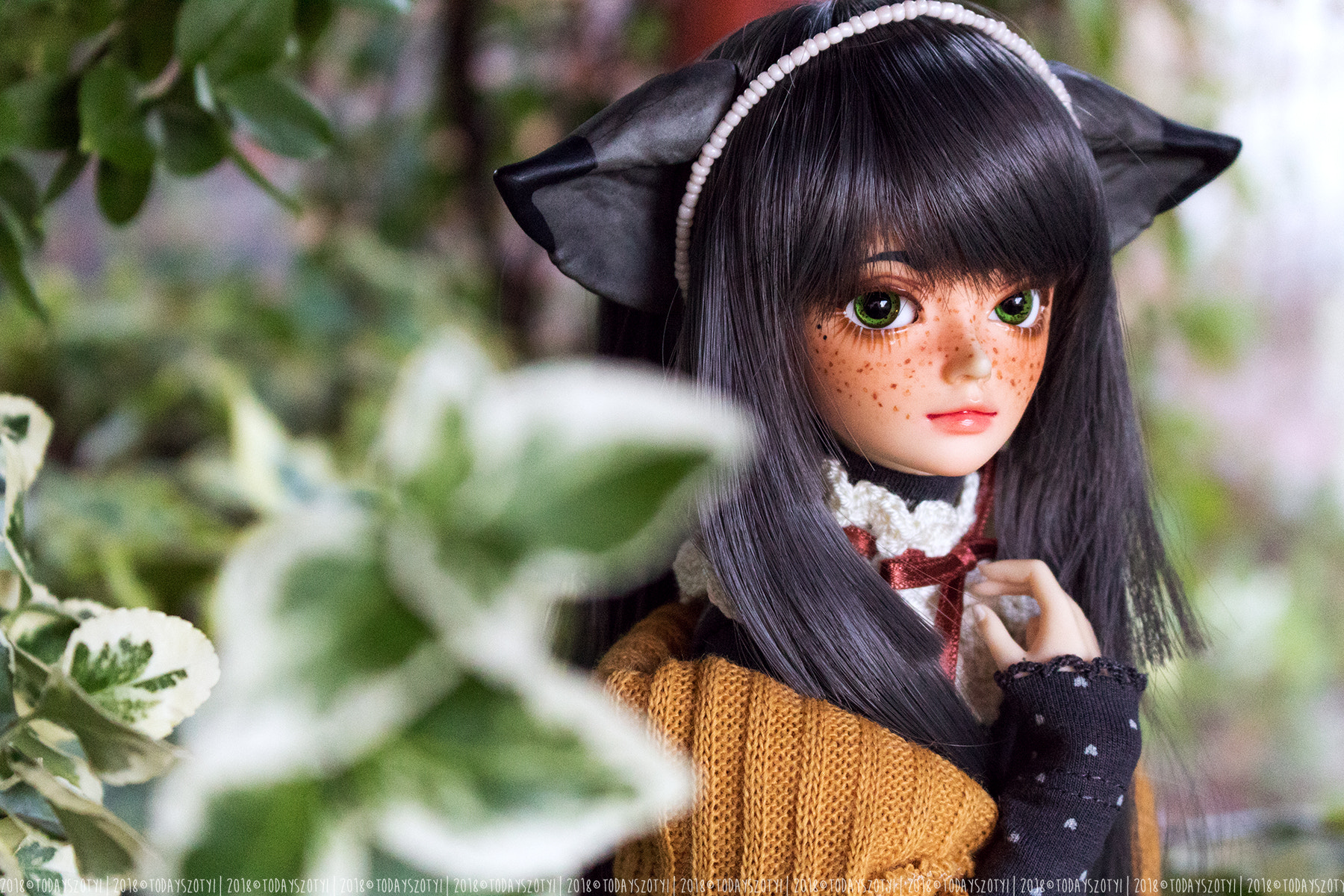 500px Doll Cat Ears Freckles Depth Of Field Green Eyes 1800x1200