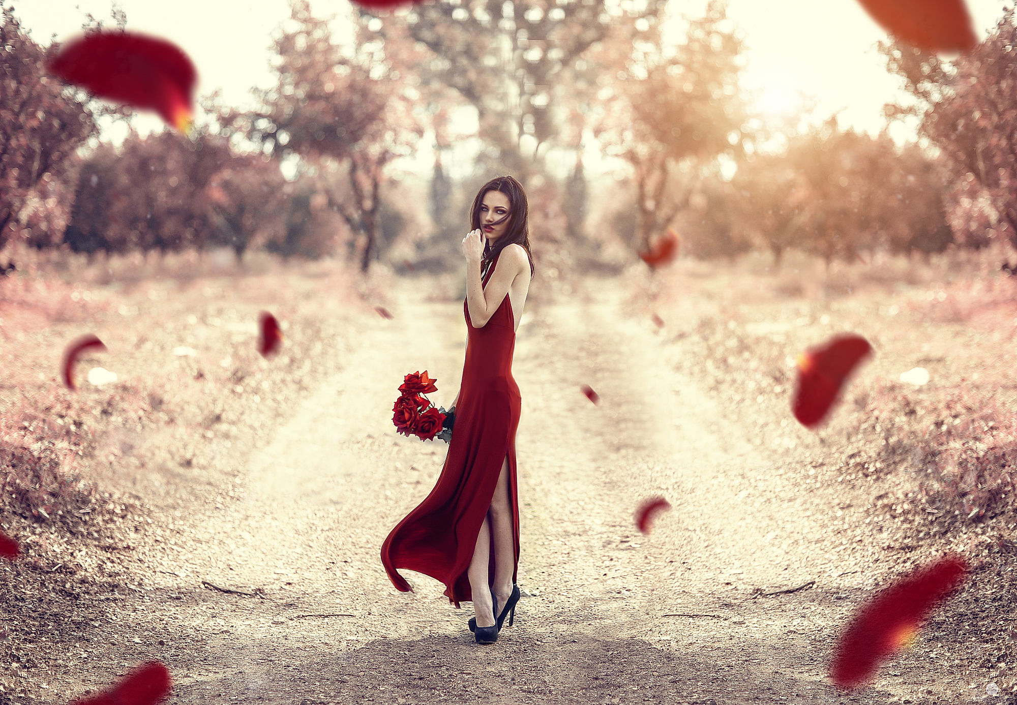 Women Dark Hair Long Hair Dress Red Clothing Roses Rose Flowers Road High Heels Field Sun Summer Ale 2000x1387