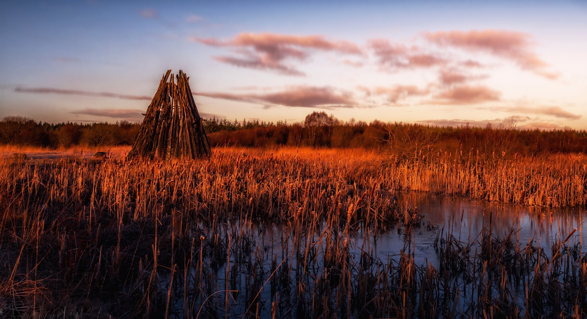Nature Landscape Reeds Swamp Pond Sunset 2048x1113