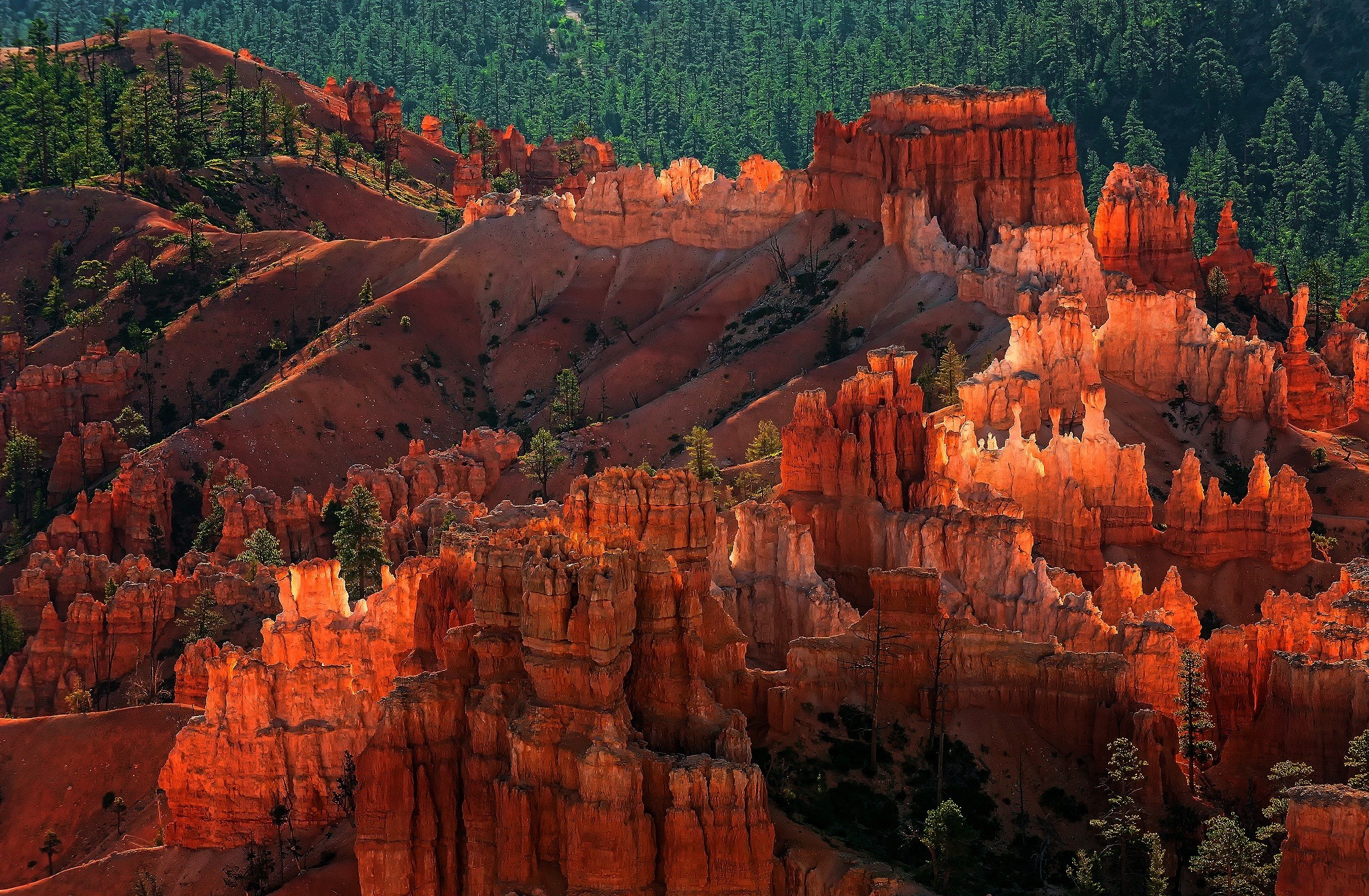 Mountain Forest Bryce Canyon National Park Utah 2048x1340