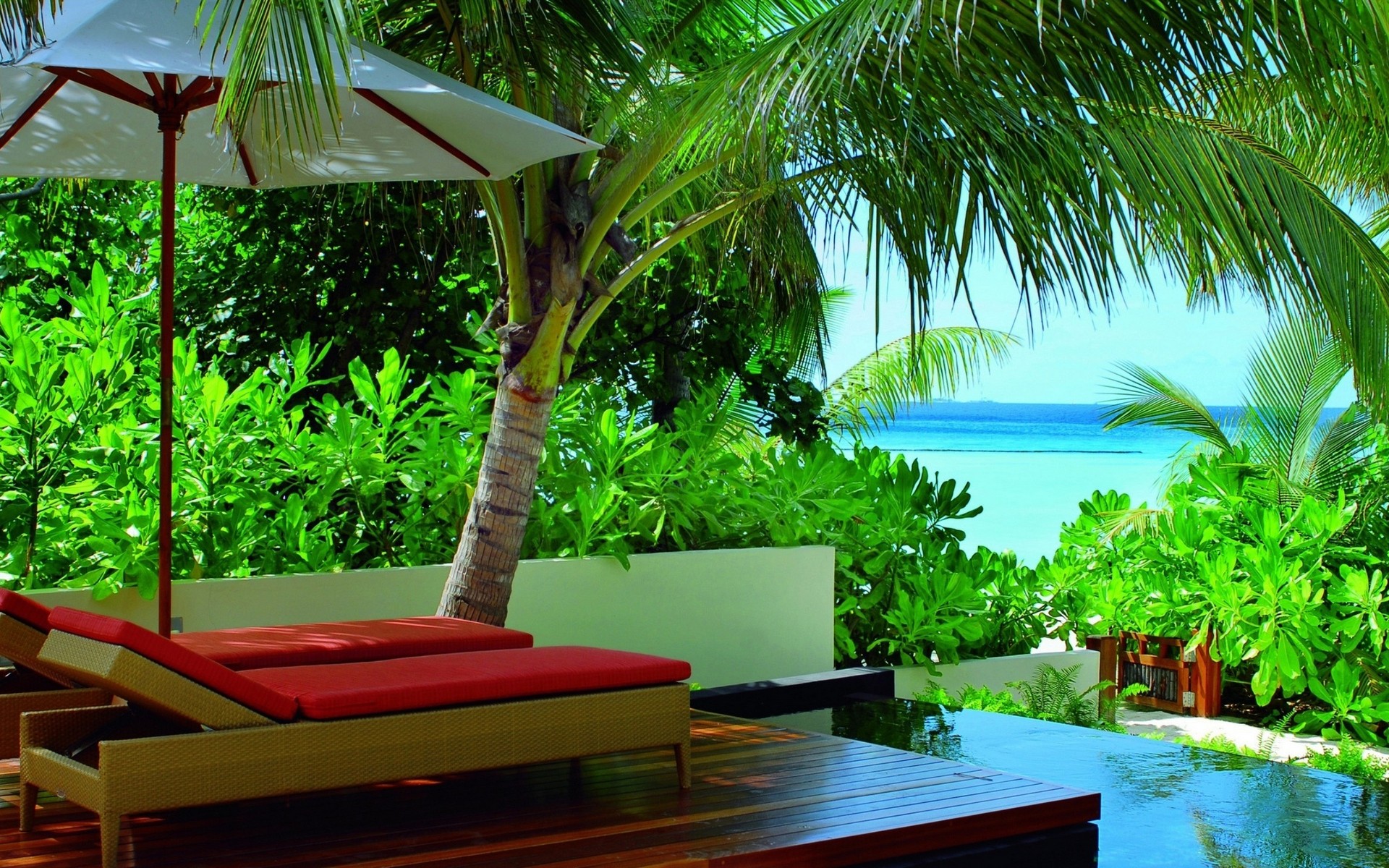 Hotel Palm Trees Tropical Beach Umbrella Sea 1920x1200