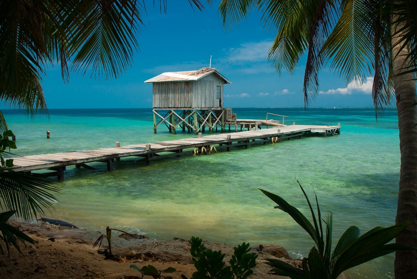 Nature Photography Landscape Caribbean Sea Dock Hut Beach Palm Trees Tropical Belize 1600x1071