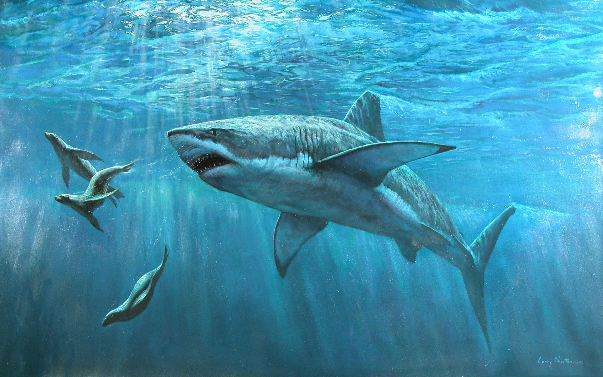 Shark Animals Fish Artwork Cyan Seals Underwater Sea 1920x1200