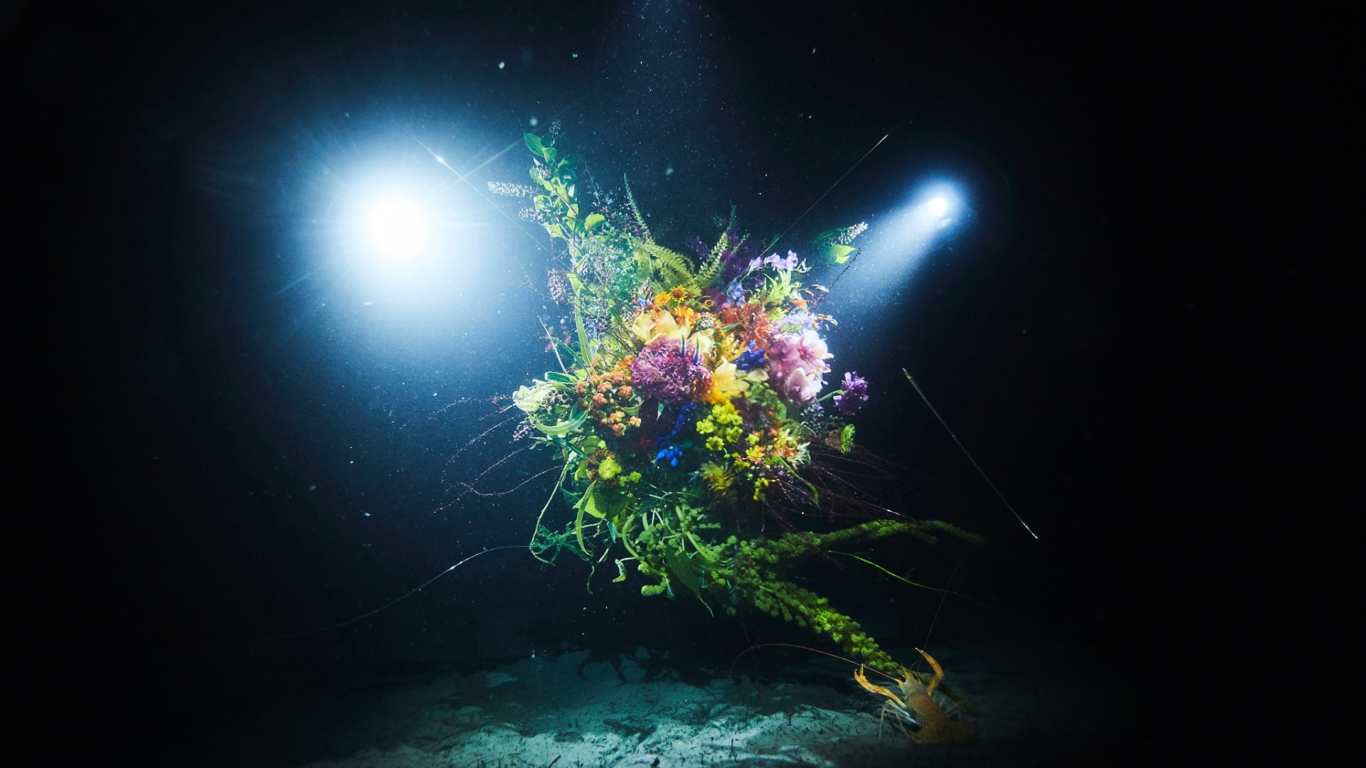 Plants Flowers Bouquets Underwater Dark Lights Sea Colorful 1920x1080