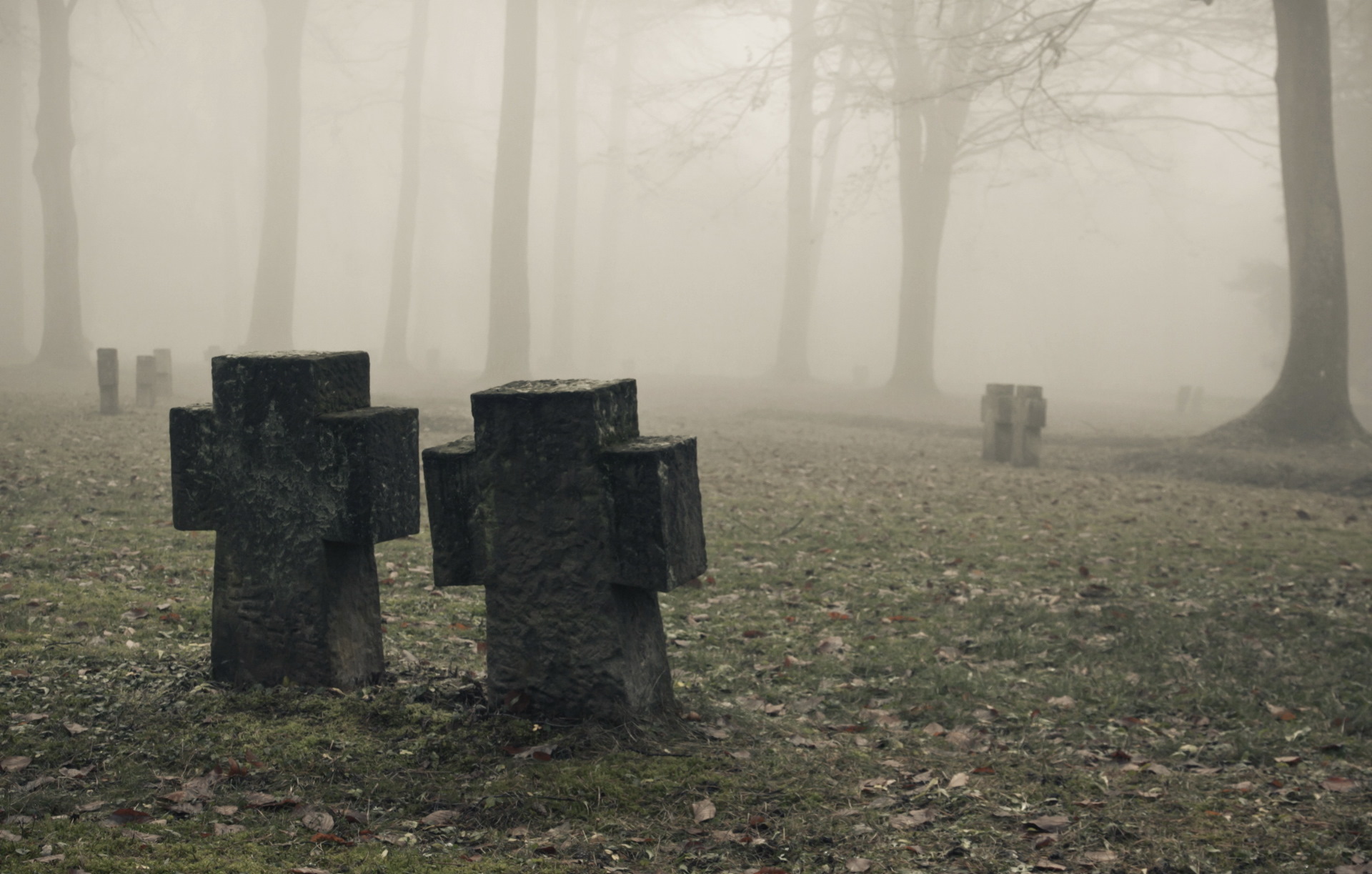 Mist Cemetery Outdoors Trees Graveyards Tombstones Fall 1920x1223