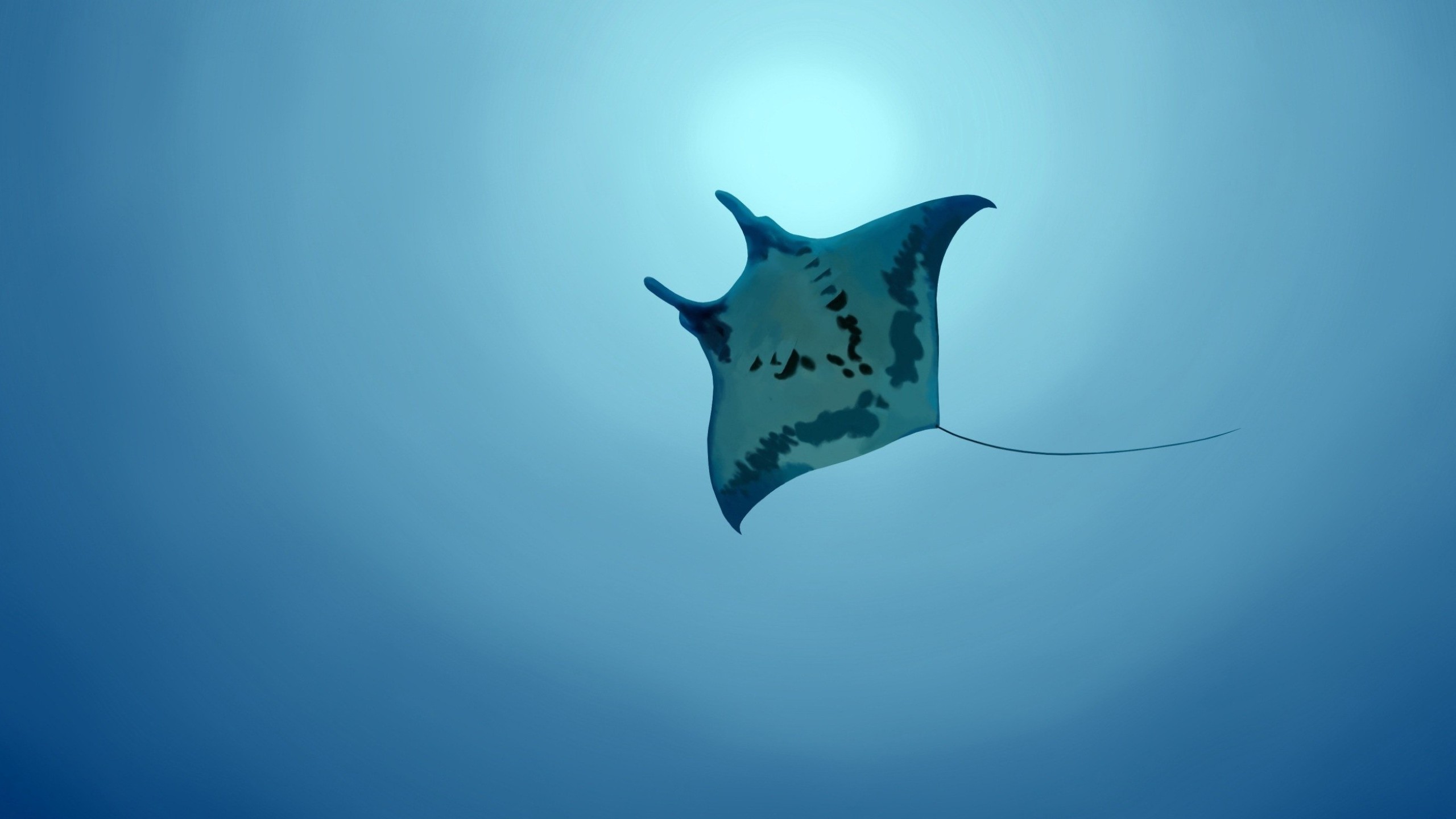 Underwater 2560x1440