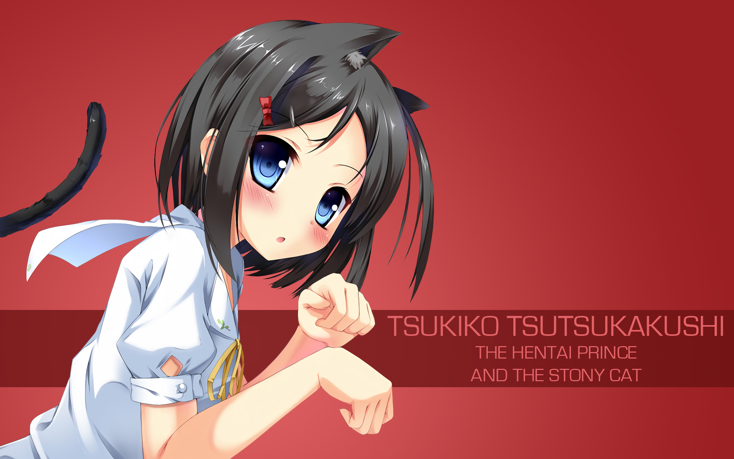 Hentai Ouji To Warawanai Neko Anime Girls Tsutsukakushi Tsukiko 2880x1800