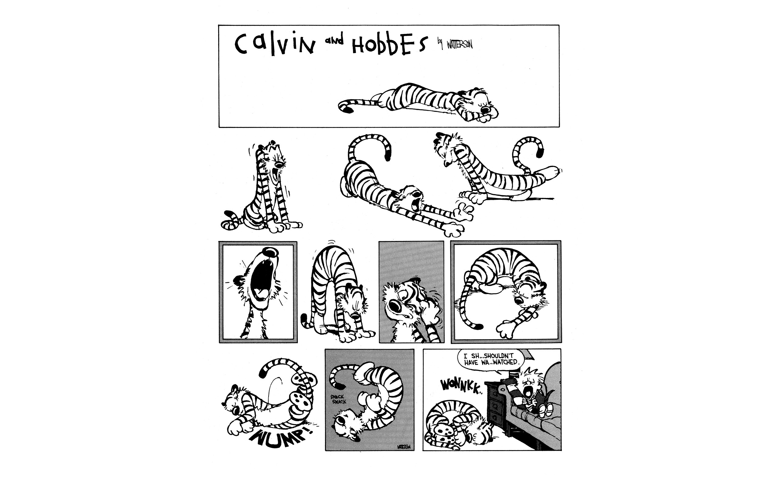 Calvin And Hobbes Comics Simple 2560x1600