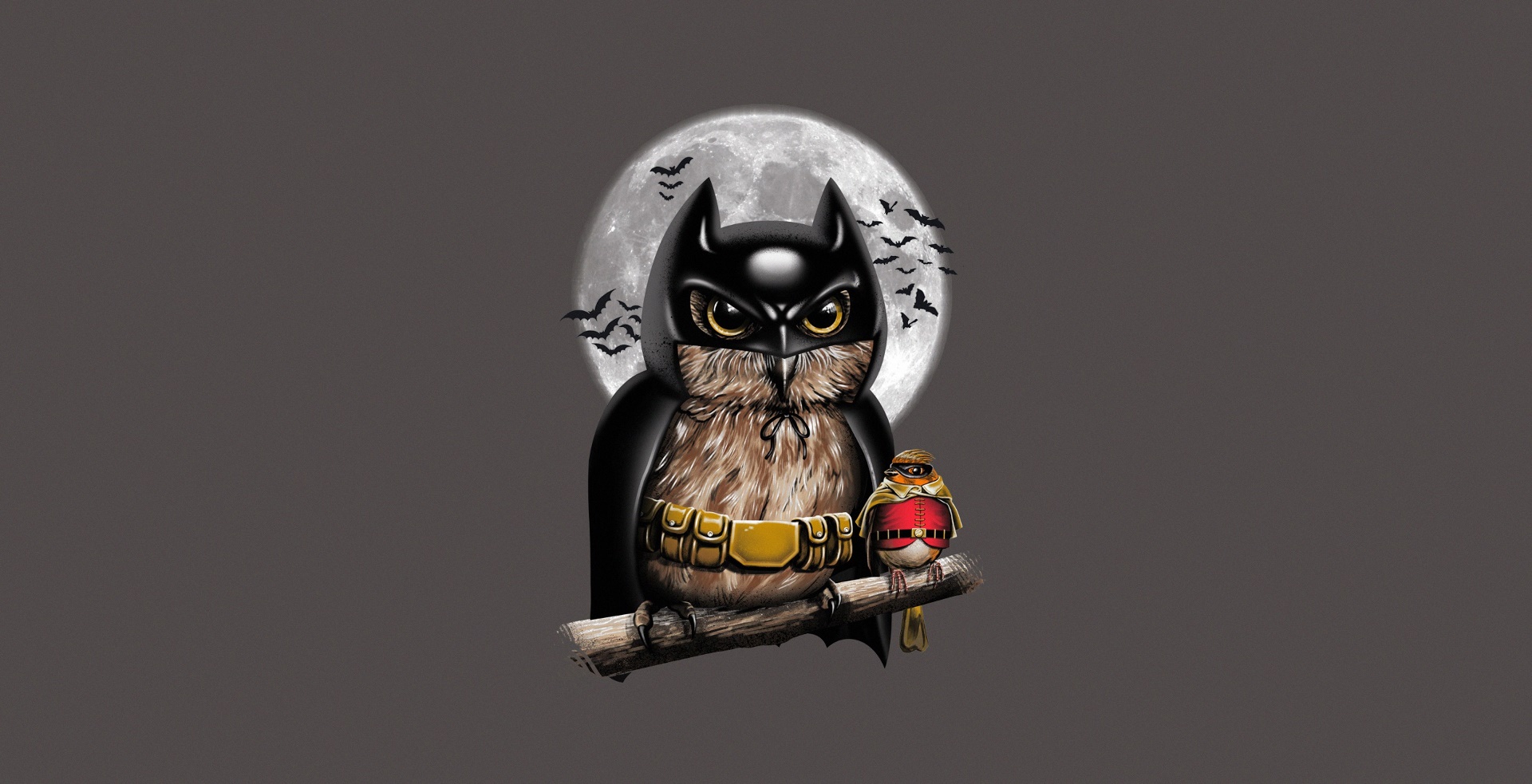 Minimalism Owl Animals Birds Batman Robin Character 1920x983