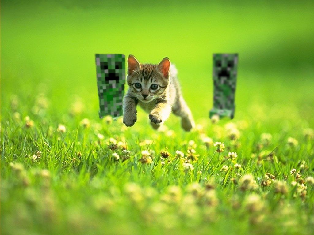 Cats Creeper Minecraft Grass 1024x768