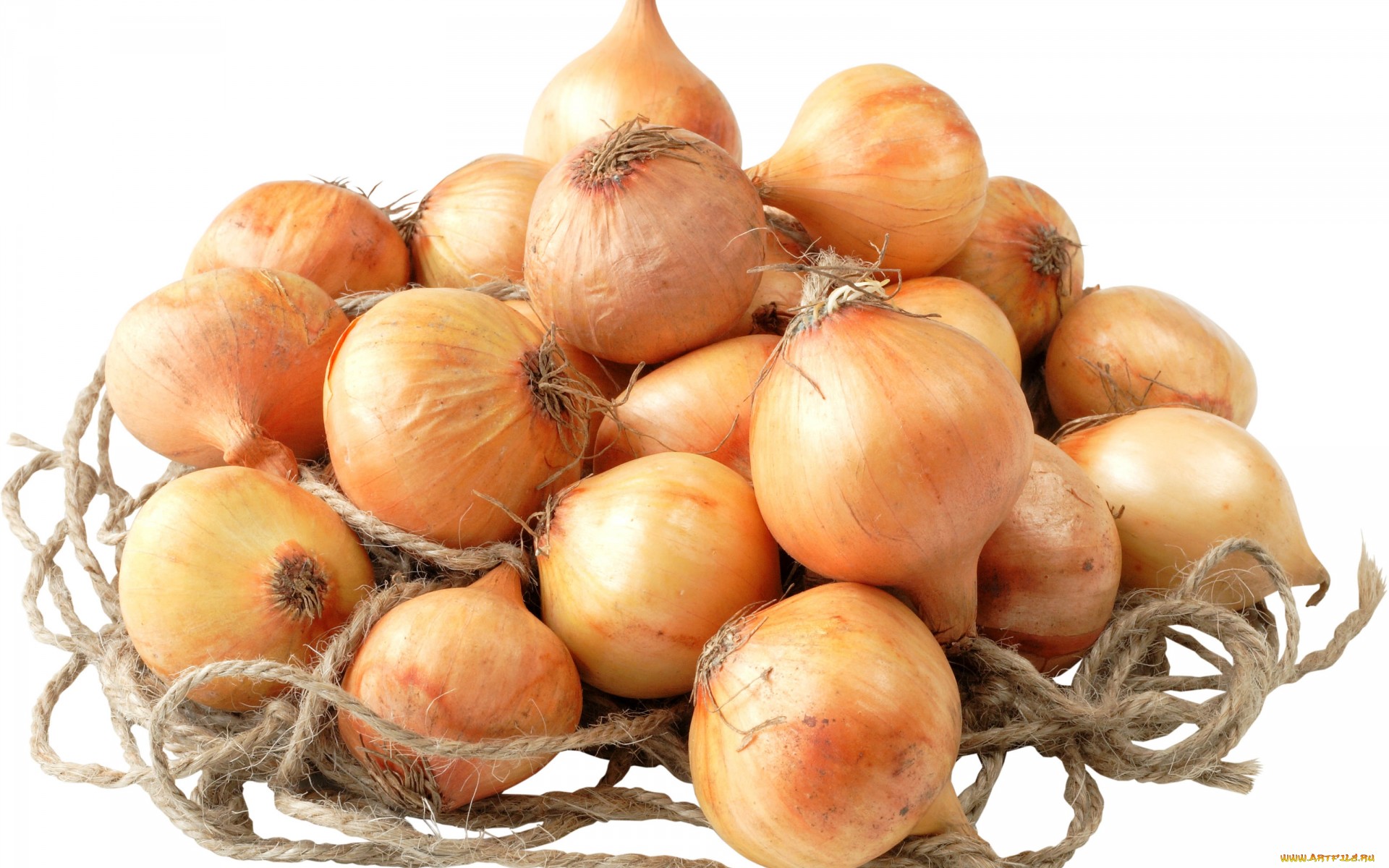 Food Onion 1920x1200