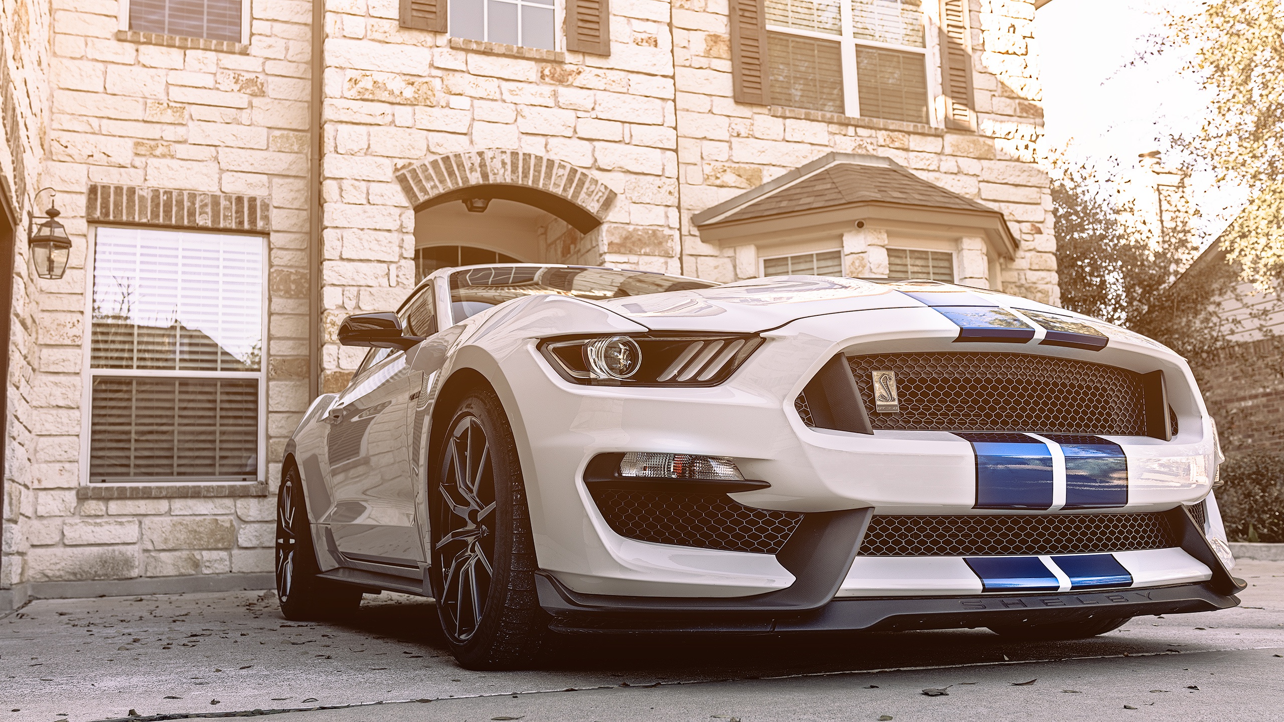 Car Depth Of Field Ford Mustang Shelby Shelby GT350 2560x1440