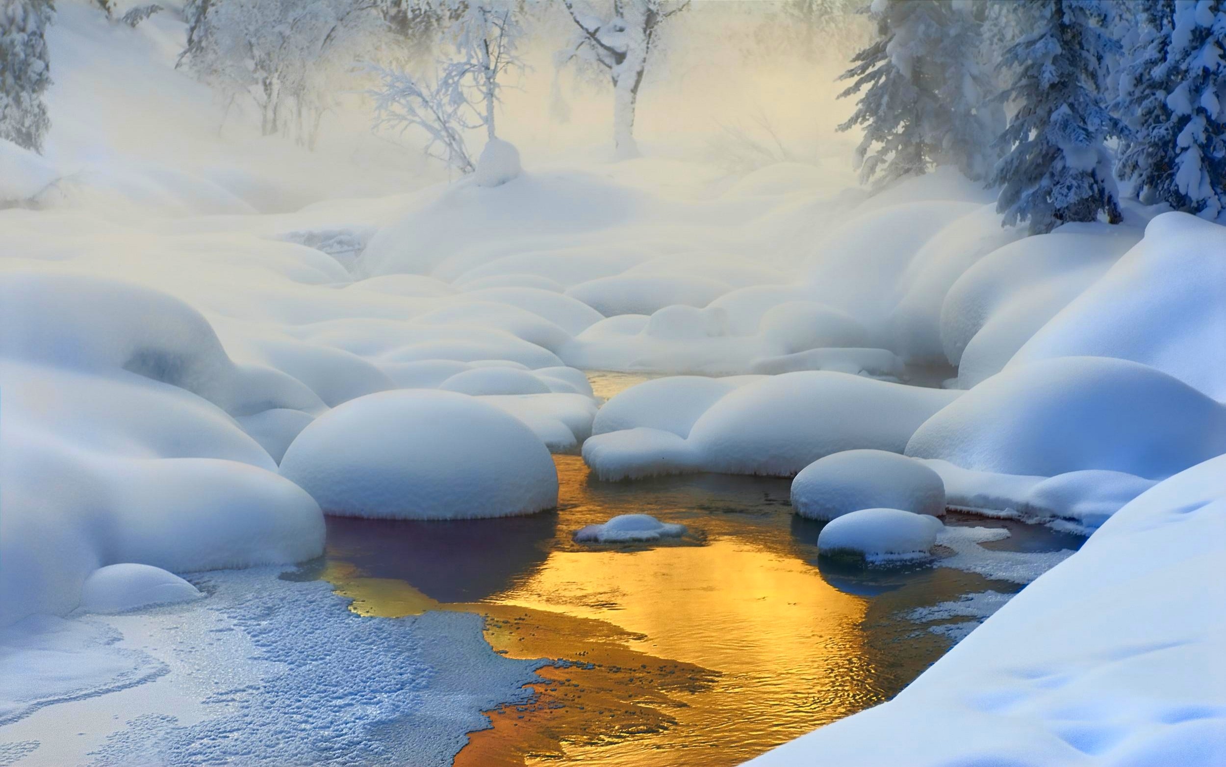 Nature Landscape Creeks Forest Snow Frost Mist Cold Trees Siberia Russia Gold Yellow Ice 2500x1563