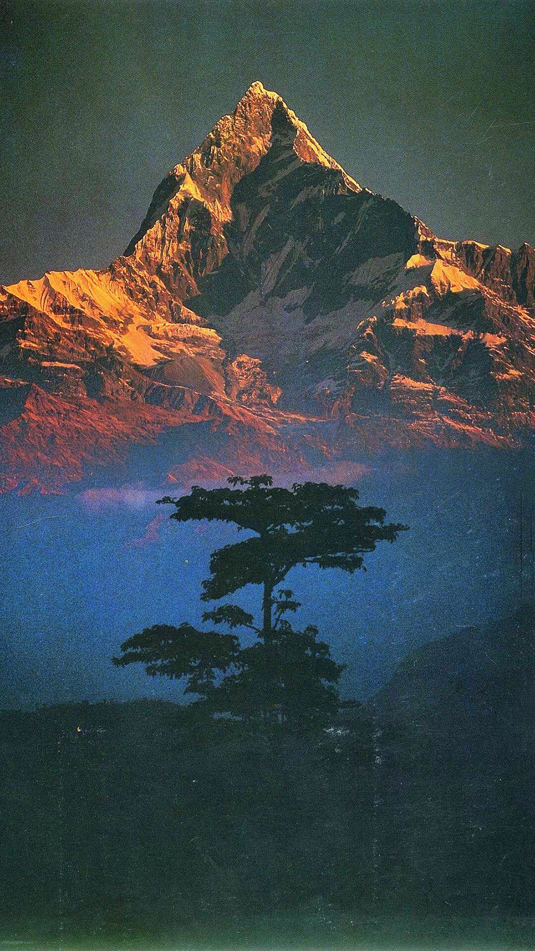 Nature Landscape Mountains Trees Portrait Display Filter Nepal Snowy Mountain Sunlight Annapurna 1080x1920