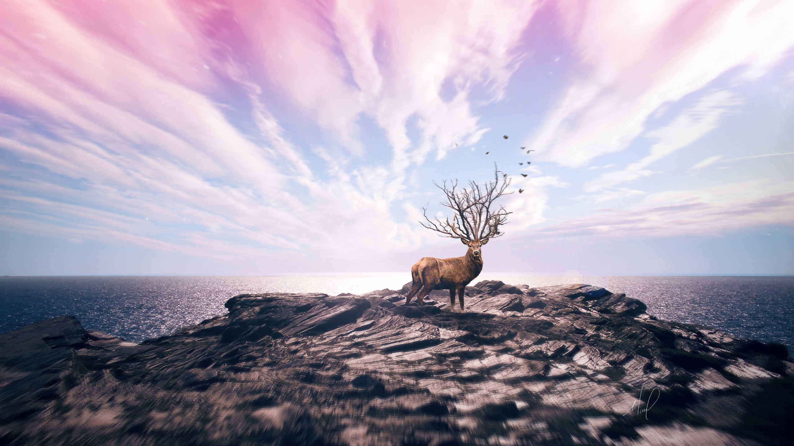 Elk Wildlife Animals Nature Fantasy Art Sky Digital Art Deer 2560x1440