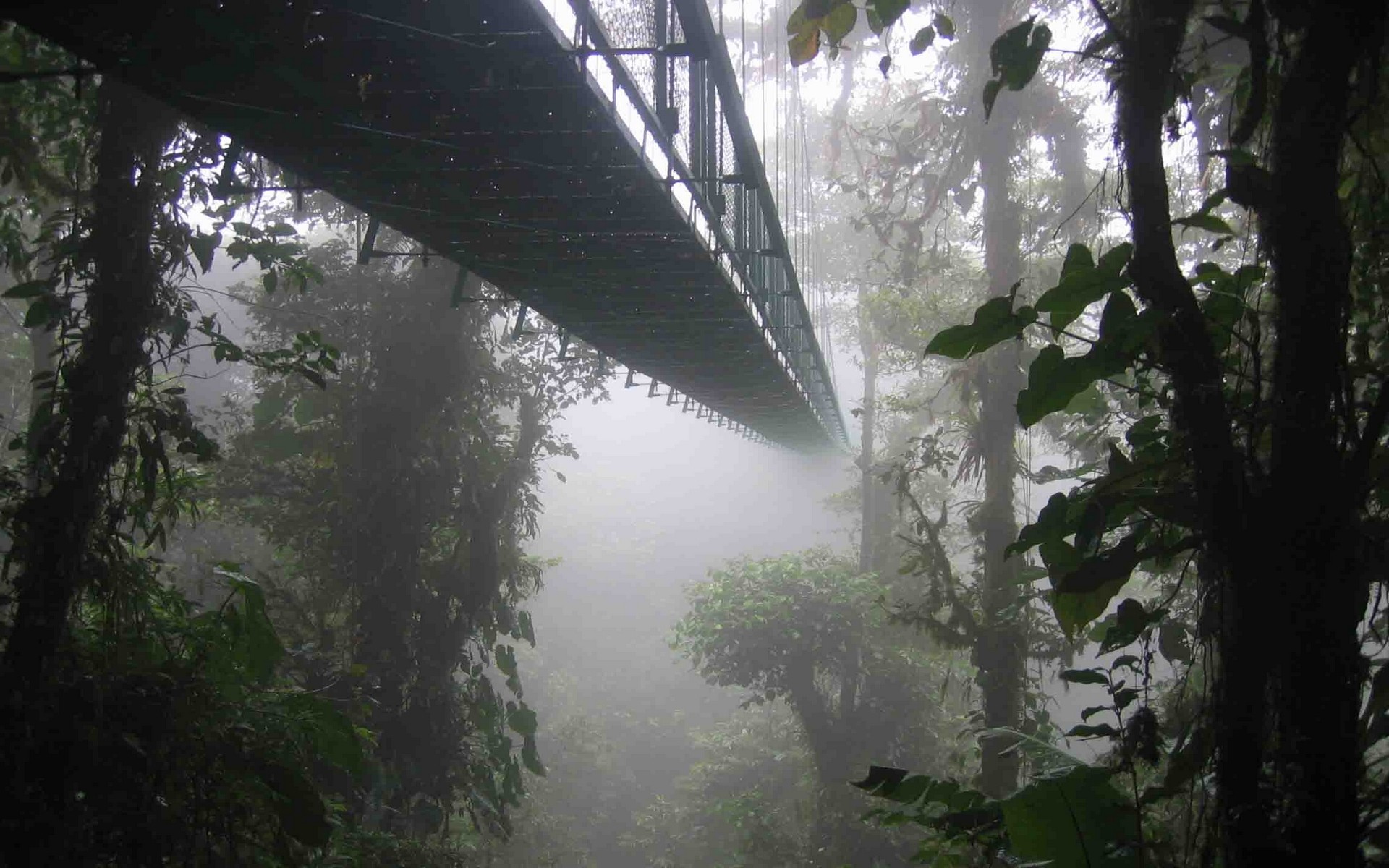 Landscape Nature Mist Forest Bridge Costa Rica Trees 1920x1200