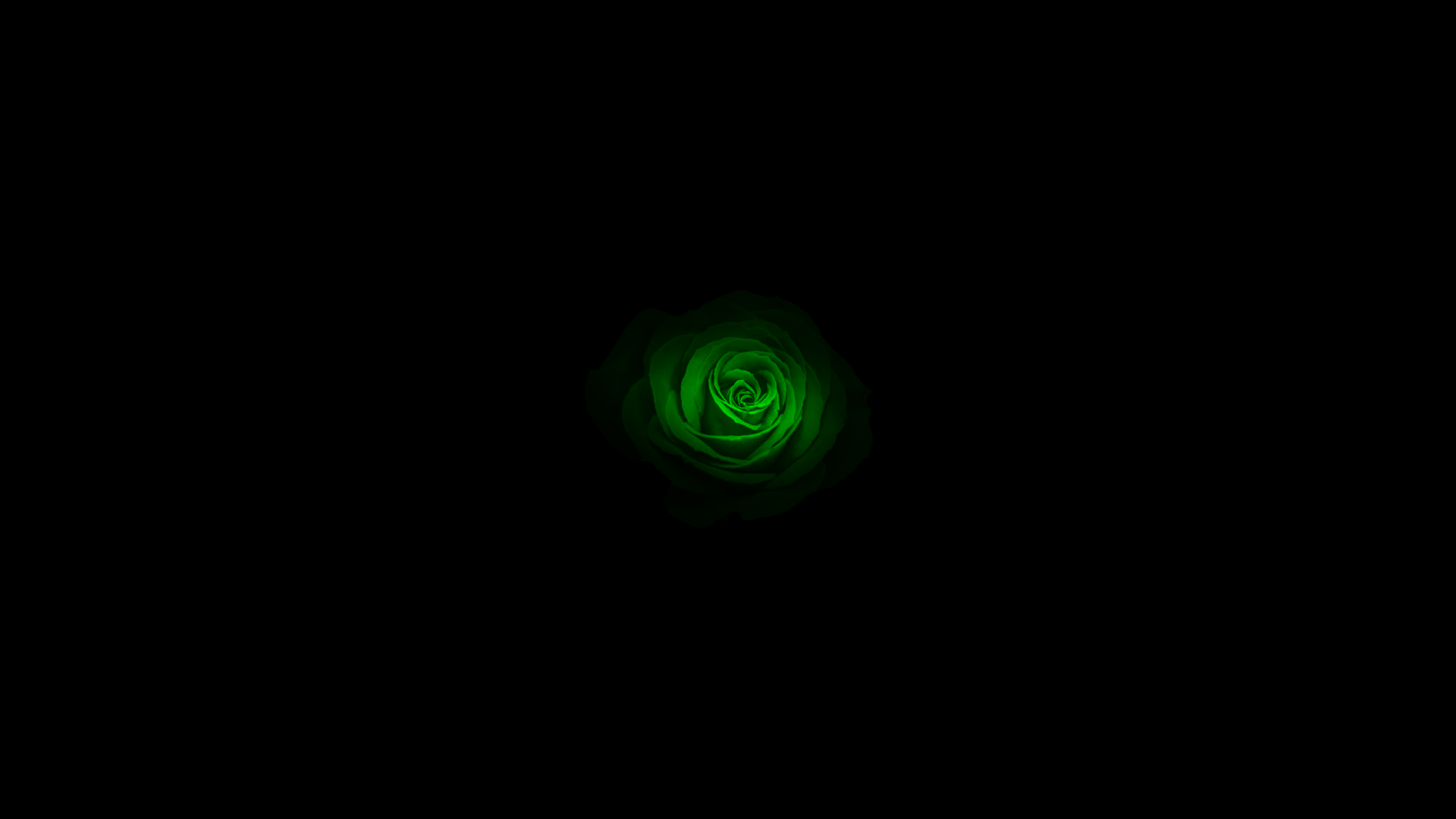 Green Rose Emerald 1920x1080