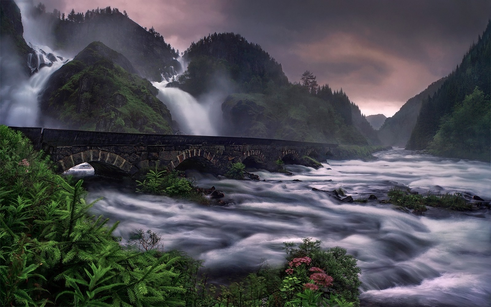 Nature Landscape Waterfall River Mountains Ferns Wildflowers Clouds Bridge Road Norway 1600x1000